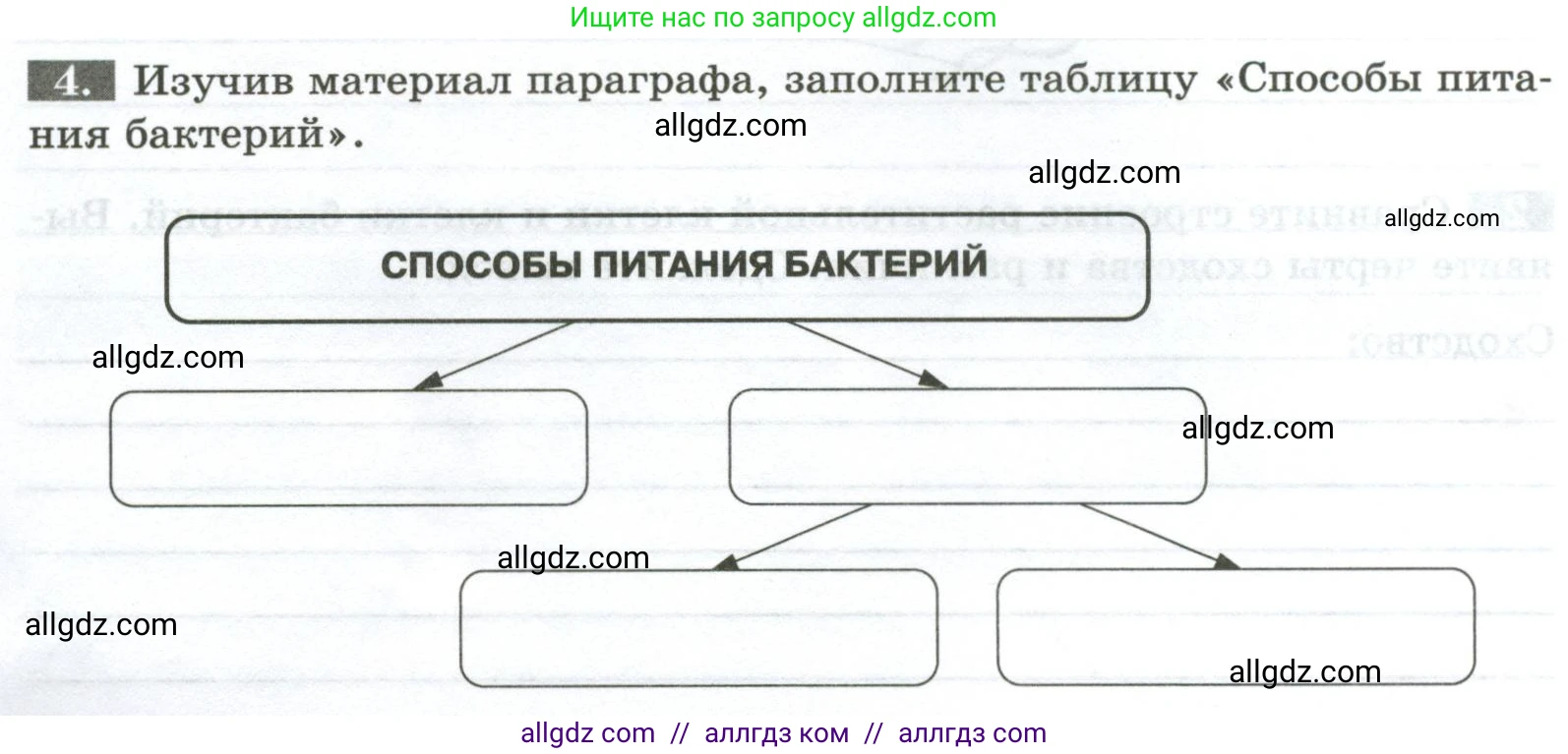 Биология, 7 класс рабочая тетрадь, авторы: Пасечник Владимир Васильевич, Суматохин Сергей Витальевич, Швецов Глеб Геннадьевич, Гапонюк Зоя Георгиевна, Косарькова Марина Викторовна, издательство Просвещение, Москва, 2023, бирюзового цвета, страница 80, номер 4, Условие