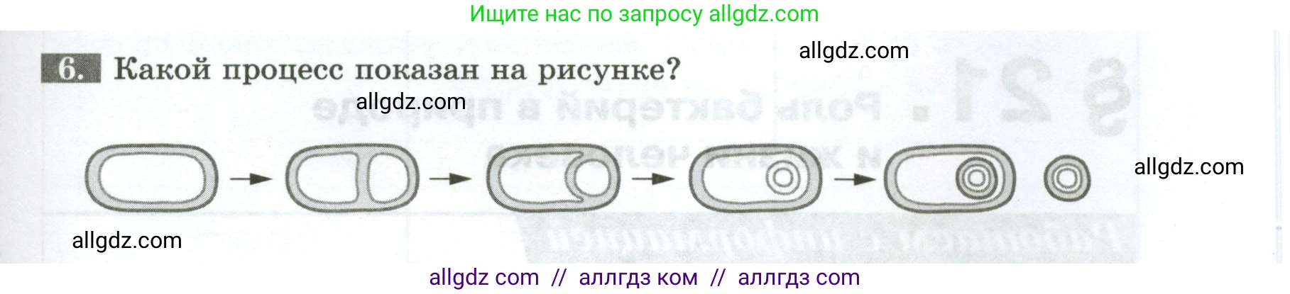 Биология, 7 класс рабочая тетрадь, авторы: Пасечник Владимир Васильевич, Суматохин Сергей Витальевич, Швецов Глеб Геннадьевич, Гапонюк Зоя Георгиевна, Косарькова Марина Викторовна, издательство Просвещение, Москва, 2023, бирюзового цвета, страница 81, номер 6, Условие