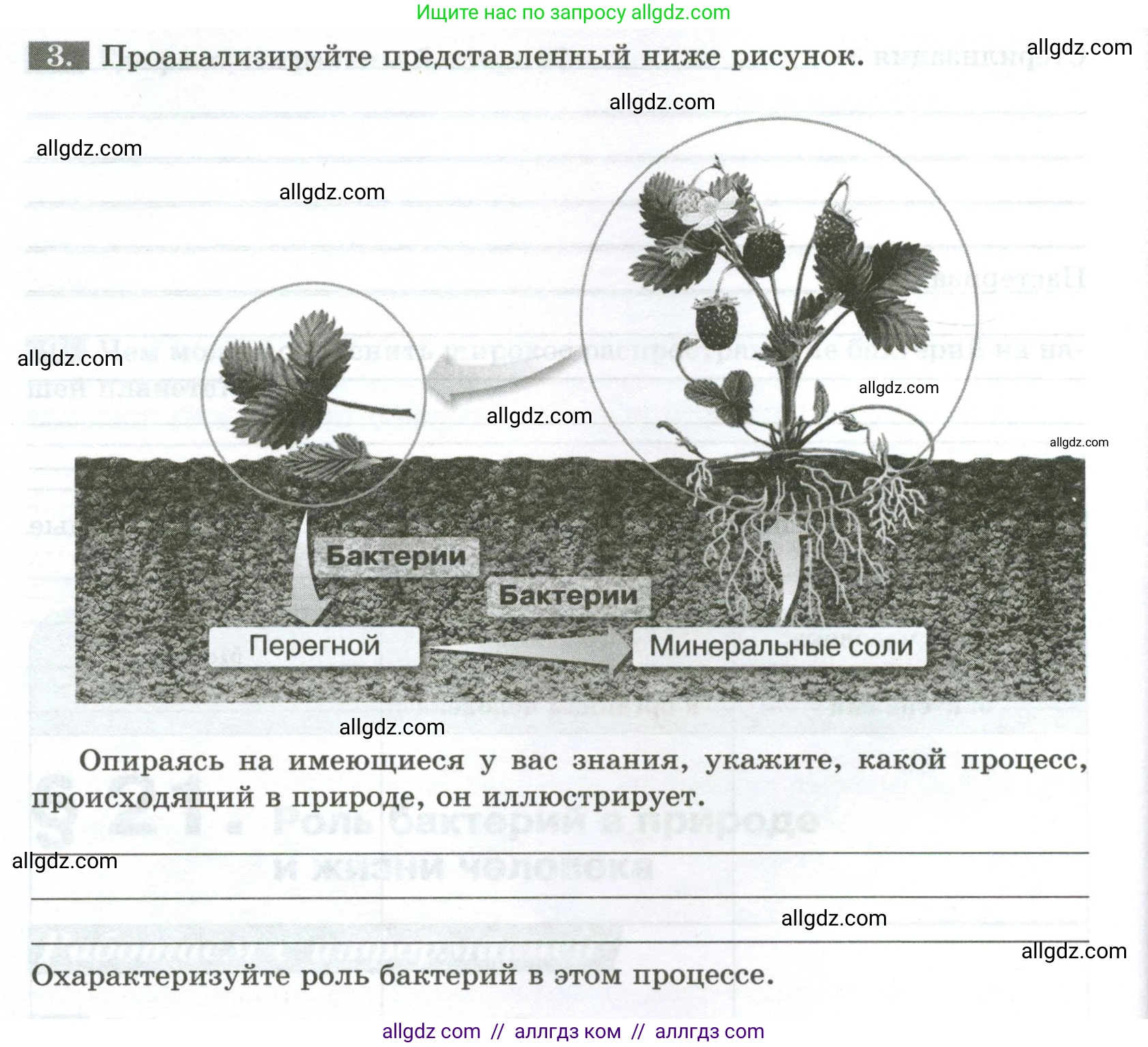 Биология, 7 класс рабочая тетрадь, авторы: Пасечник Владимир Васильевич, Суматохин Сергей Витальевич, Швецов Глеб Геннадьевич, Гапонюк Зоя Георгиевна, Косарькова Марина Викторовна, издательство Просвещение, Москва, 2023, бирюзового цвета, страница 84, номер 3, Условие
