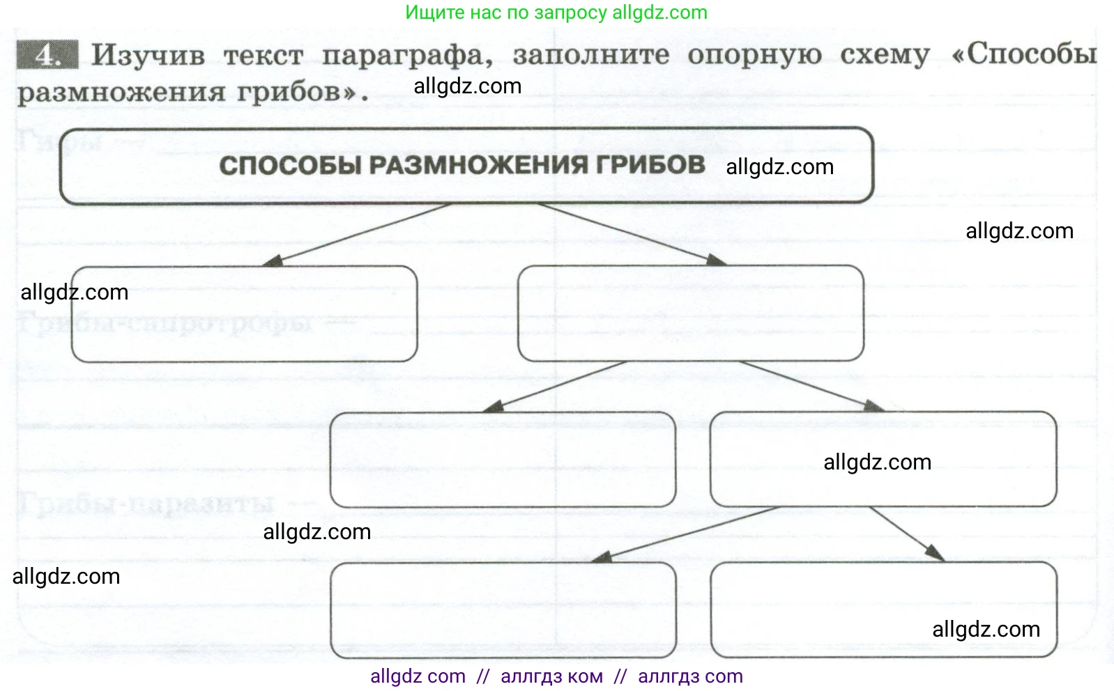 Биология, 7 класс рабочая тетрадь, авторы: Пасечник Владимир Васильевич, Суматохин Сергей Витальевич, Швецов Глеб Геннадьевич, Гапонюк Зоя Георгиевна, Косарькова Марина Викторовна, издательство Просвещение, Москва, 2023, бирюзового цвета, страница 88, номер 4, Условие