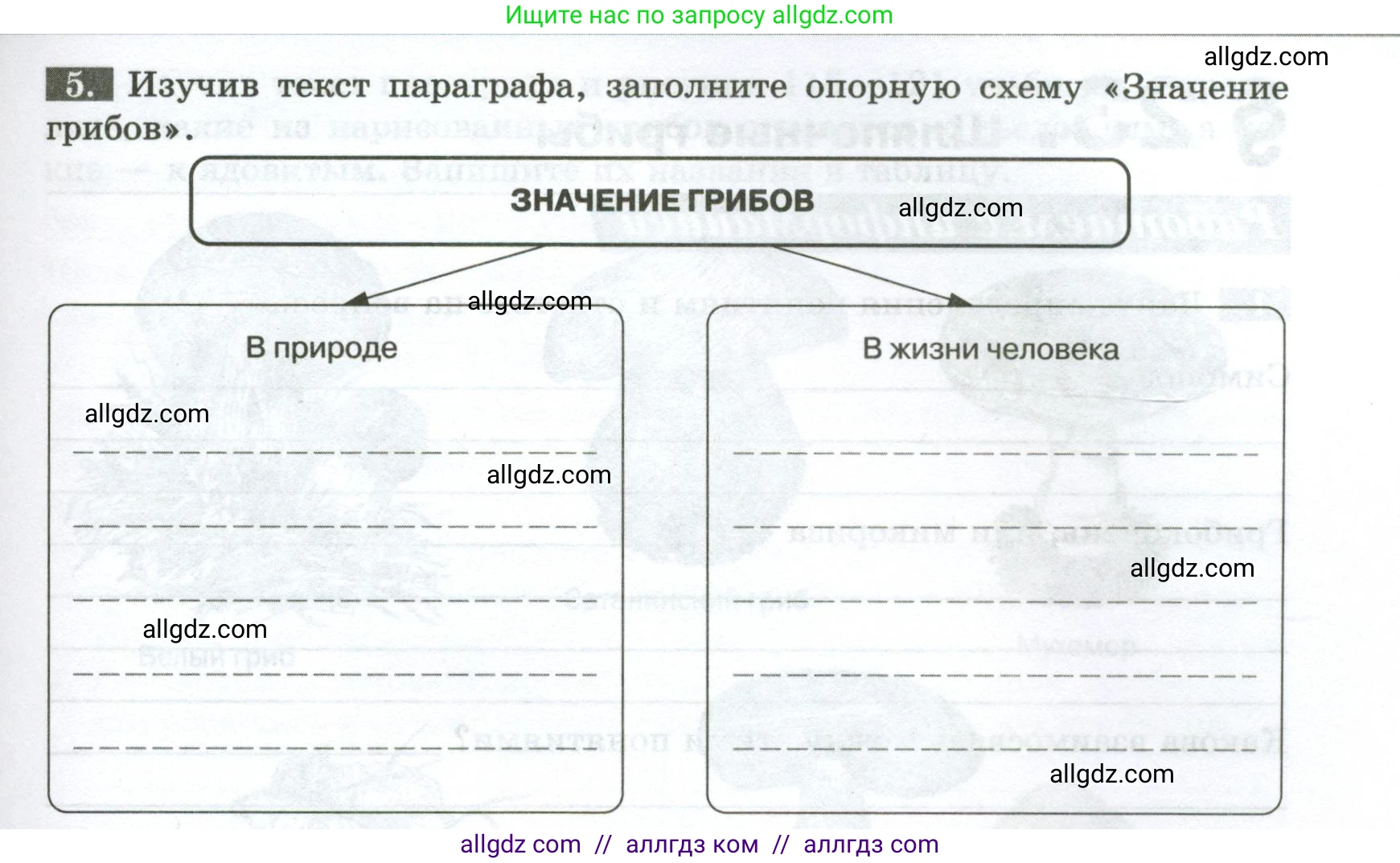 Биология, 7 класс рабочая тетрадь, авторы: Пасечник Владимир Васильевич, Суматохин Сергей Витальевич, Швецов Глеб Геннадьевич, Гапонюк Зоя Георгиевна, Косарькова Марина Викторовна, издательство Просвещение, Москва, 2023, бирюзового цвета, страница 89, номер 5, Условие