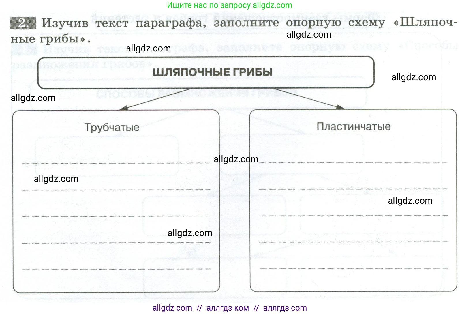 Биология, 7 класс рабочая тетрадь, авторы: Пасечник Владимир Васильевич, Суматохин Сергей Витальевич, Швецов Глеб Геннадьевич, Гапонюк Зоя Георгиевна, Косарькова Марина Викторовна, издательство Просвещение, Москва, 2023, бирюзового цвета, страница 90, номер 2, Условие