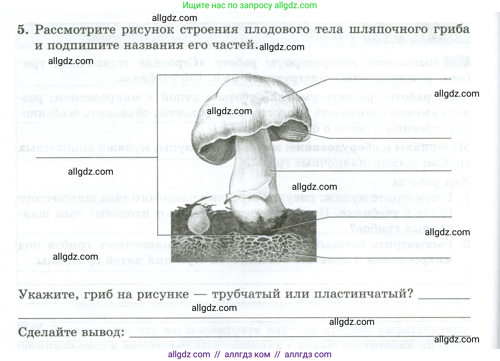 Биология, 7 класс рабочая тетрадь, авторы: Пасечник Владимир Васильевич, Суматохин Сергей Витальевич, Швецов Глеб Геннадьевич, Гапонюк Зоя Георгиевна, Косарькова Марина Викторовна, издательство Просвещение, Москва, 2023, бирюзового цвета, страница 93, номер 5, Условие (продолжение 2)