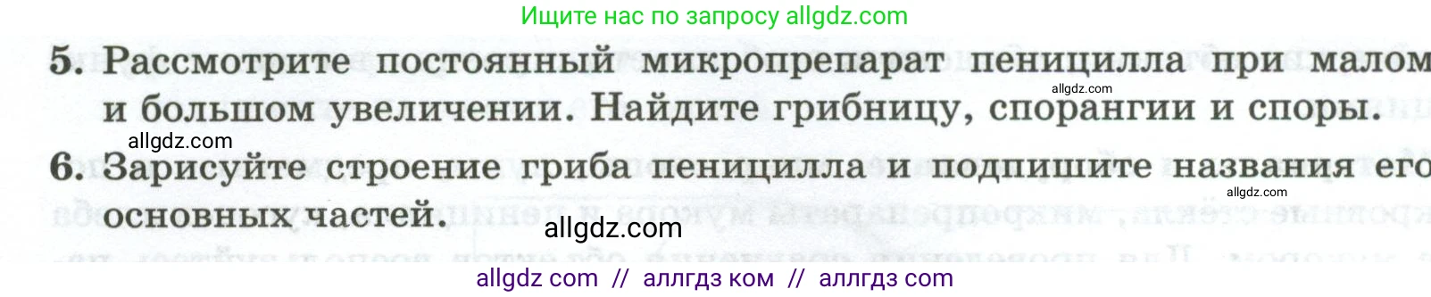 Биология, 7 класс рабочая тетрадь, авторы: Пасечник Владимир Васильевич, Суматохин Сергей Витальевич, Швецов Глеб Геннадьевич, Гапонюк Зоя Георгиевна, Косарькова Марина Викторовна, издательство Просвещение, Москва, 2023, бирюзового цвета, страница 94, номер 1, Условие (продолжение 3)