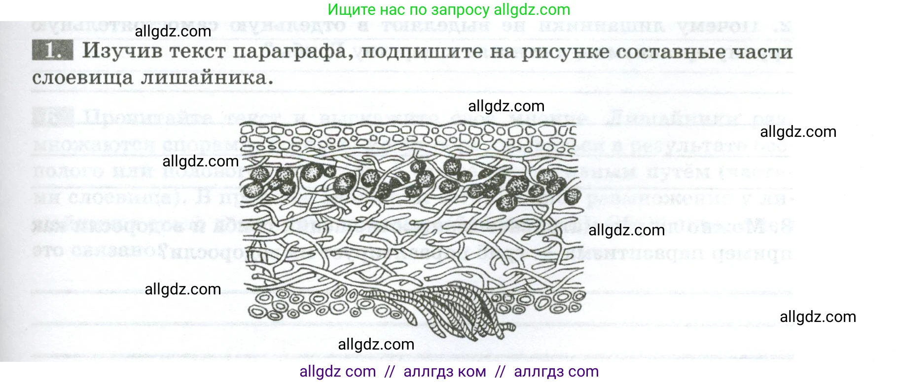 Биология, 7 класс рабочая тетрадь, авторы: Пасечник Владимир Васильевич, Суматохин Сергей Витальевич, Швецов Глеб Геннадьевич, Гапонюк Зоя Георгиевна, Косарькова Марина Викторовна, издательство Просвещение, Москва, 2023, бирюзового цвета, страница 99, номер 1, Условие
