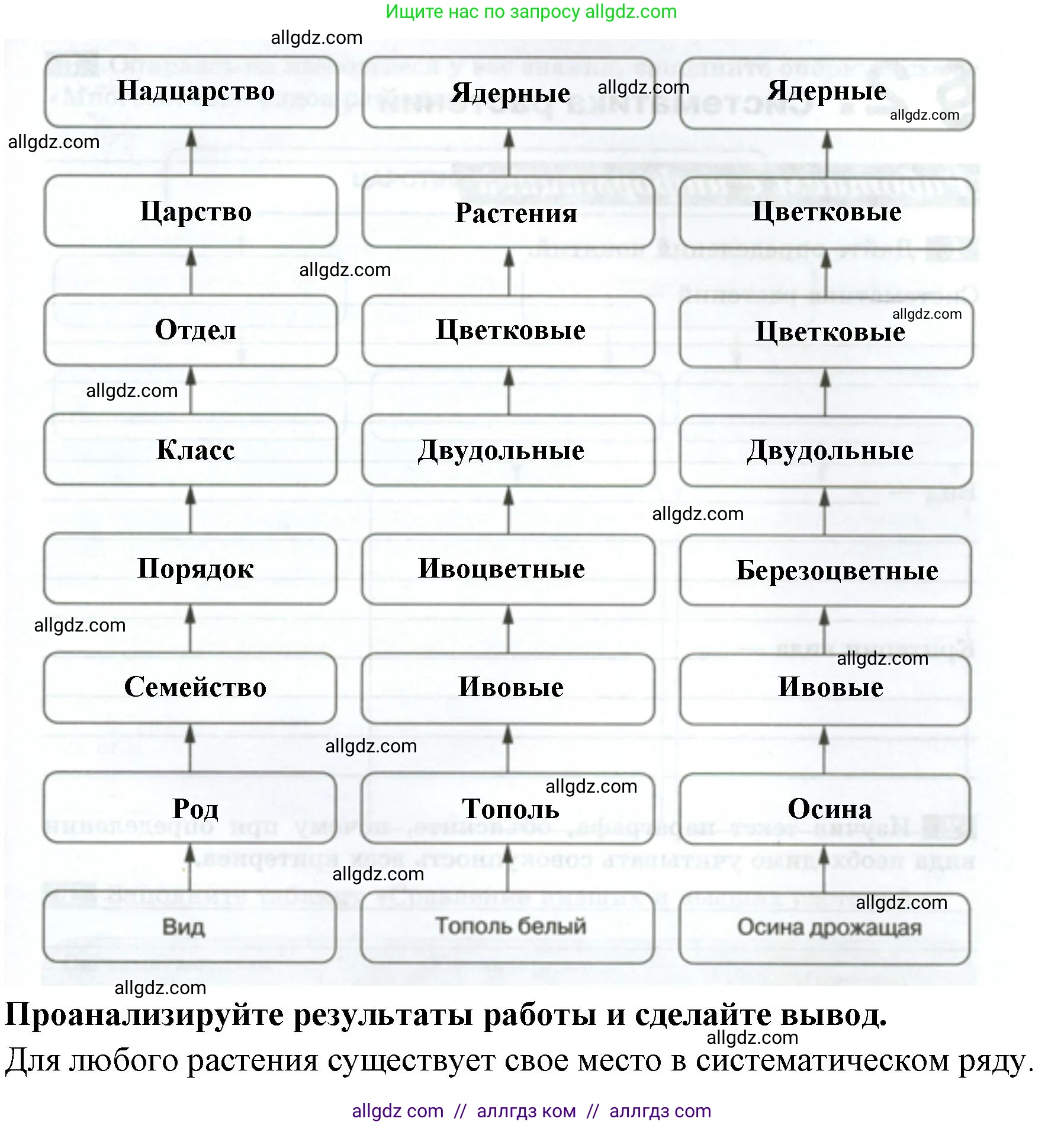 Биология, 7 класс рабочая тетрадь, авторы: Пасечник Владимир Васильевич, Суматохин Сергей Витальевич, Швецов Глеб Геннадьевич, Гапонюк Зоя Георгиевна, Косарькова Марина Викторовна, издательство Просвещение, Москва, 2023, бирюзового цвета, страница 5, номер 3, Решение (продолжение 2)