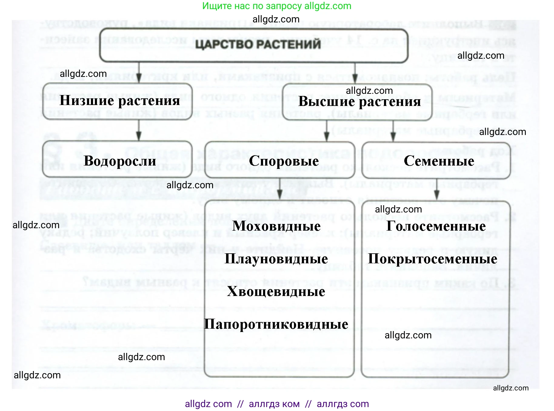 Биология, 7 класс рабочая тетрадь, авторы: Пасечник Владимир Васильевич, Суматохин Сергей Витальевич, Швецов Глеб Геннадьевич, Гапонюк Зоя Георгиевна, Косарькова Марина Викторовна, издательство Просвещение, Москва, 2023, бирюзового цвета, страница 7, номер 3, Решение (продолжение 2)