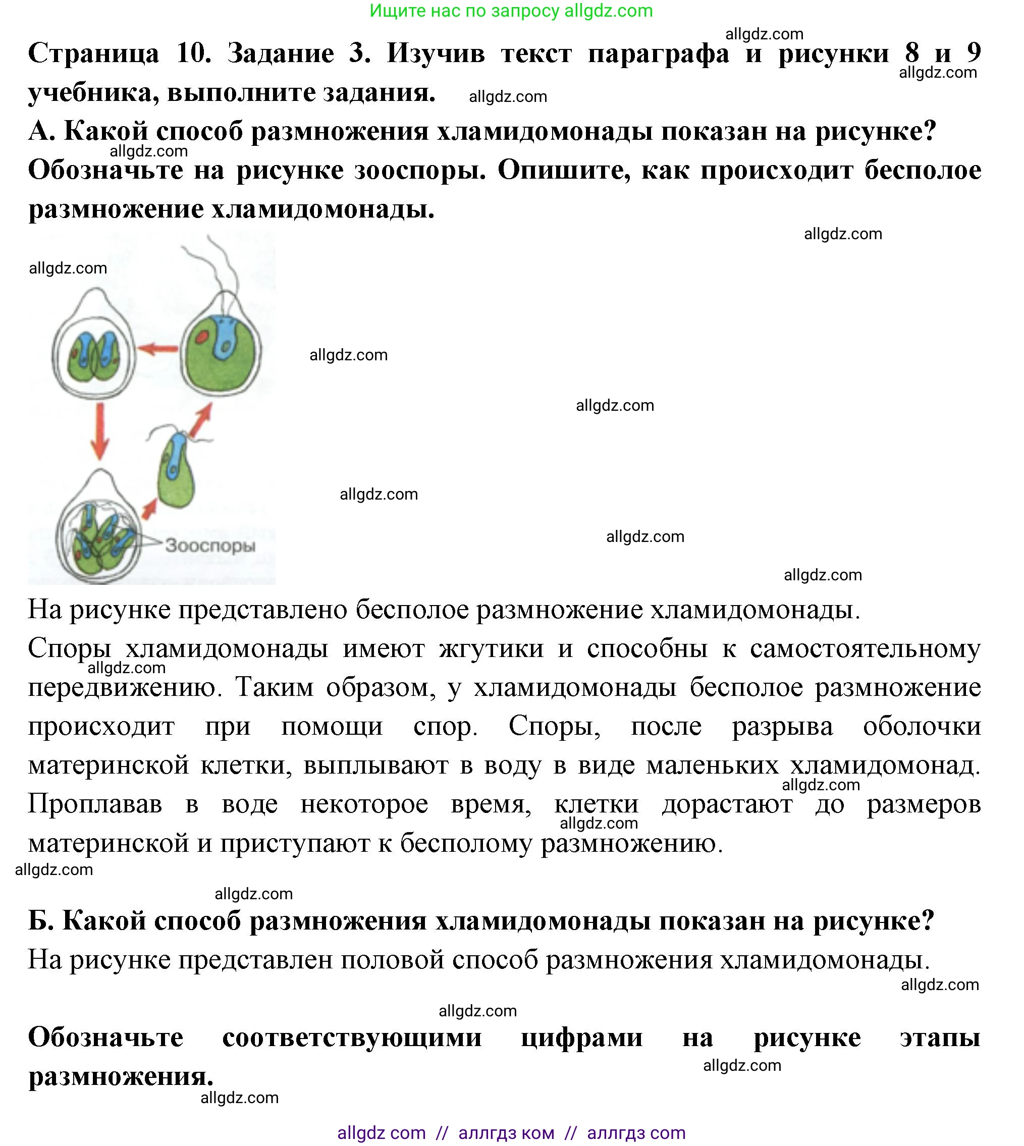 Биология, 7 класс рабочая тетрадь, авторы: Пасечник Владимир Васильевич, Суматохин Сергей Витальевич, Швецов Глеб Геннадьевич, Гапонюк Зоя Георгиевна, Косарькова Марина Викторовна, издательство Просвещение, Москва, 2023, бирюзового цвета, страница 10, номер 3, Решение
