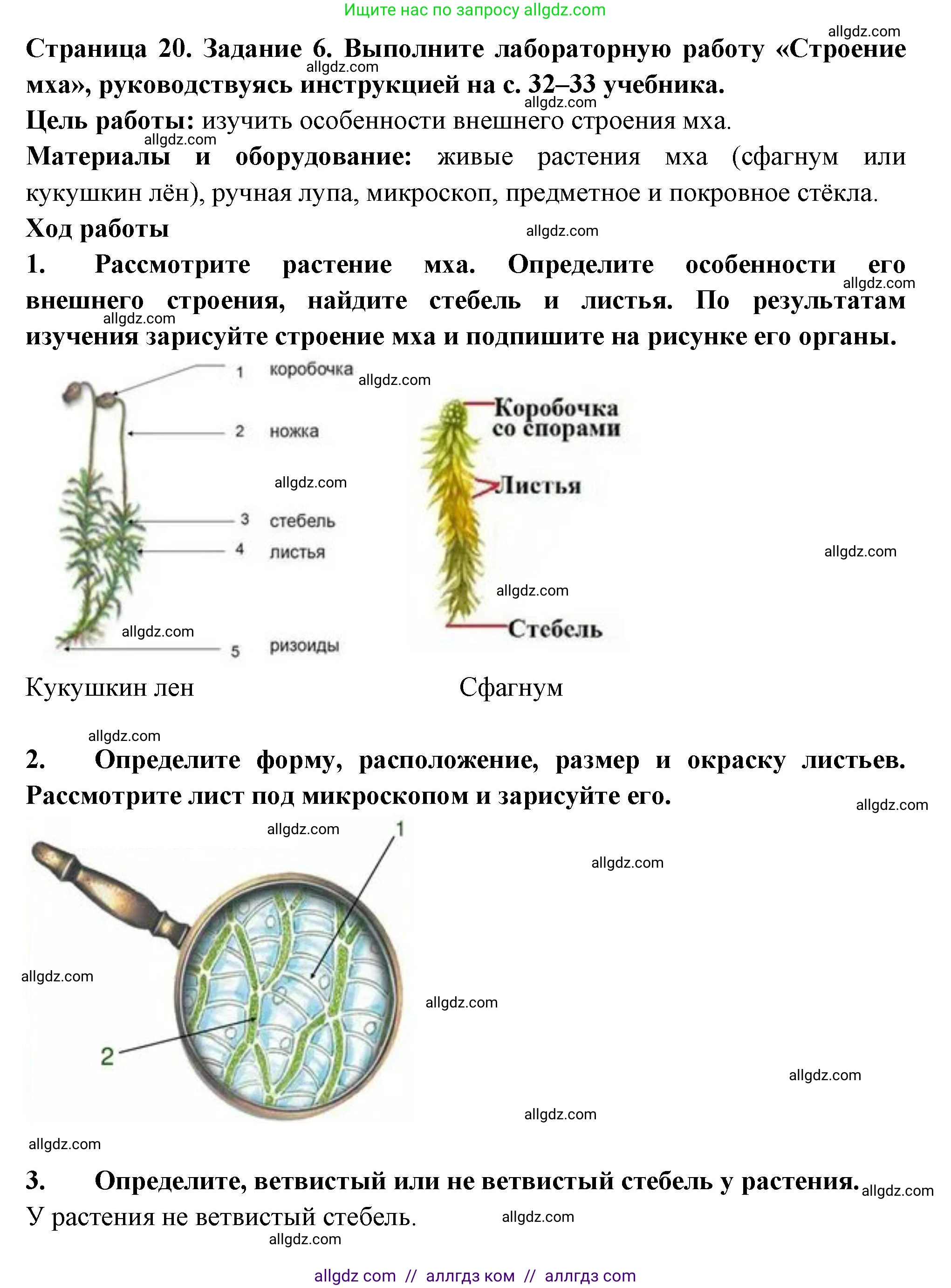 Биология, 7 класс рабочая тетрадь, авторы: Пасечник Владимир Васильевич, Суматохин Сергей Витальевич, Швецов Глеб Геннадьевич, Гапонюк Зоя Георгиевна, Косарькова Марина Викторовна, издательство Просвещение, Москва, 2023, бирюзового цвета, страница 20, номер 6, Решение