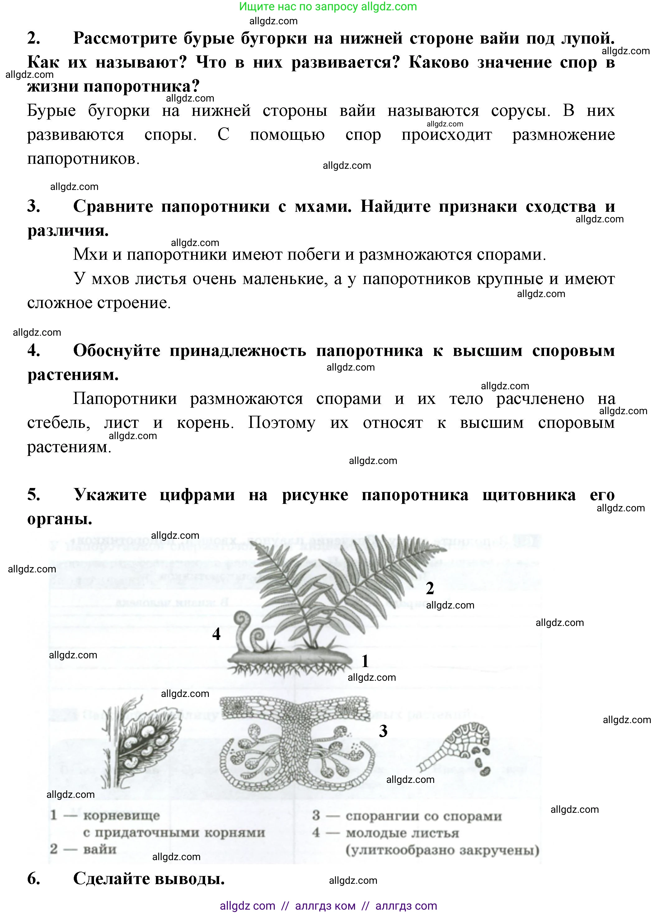 Биология, 7 класс рабочая тетрадь, авторы: Пасечник Владимир Васильевич, Суматохин Сергей Витальевич, Швецов Глеб Геннадьевич, Гапонюк Зоя Георгиевна, Косарькова Марина Викторовна, издательство Просвещение, Москва, 2023, бирюзового цвета, страница 25, номер 7, Решение (продолжение 2)