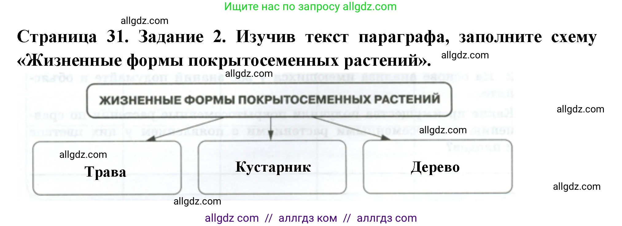 Биология, 7 класс рабочая тетрадь, авторы: Пасечник Владимир Васильевич, Суматохин Сергей Витальевич, Швецов Глеб Геннадьевич, Гапонюк Зоя Георгиевна, Косарькова Марина Викторовна, издательство Просвещение, Москва, 2023, бирюзового цвета, страница 31, номер 2, Решение