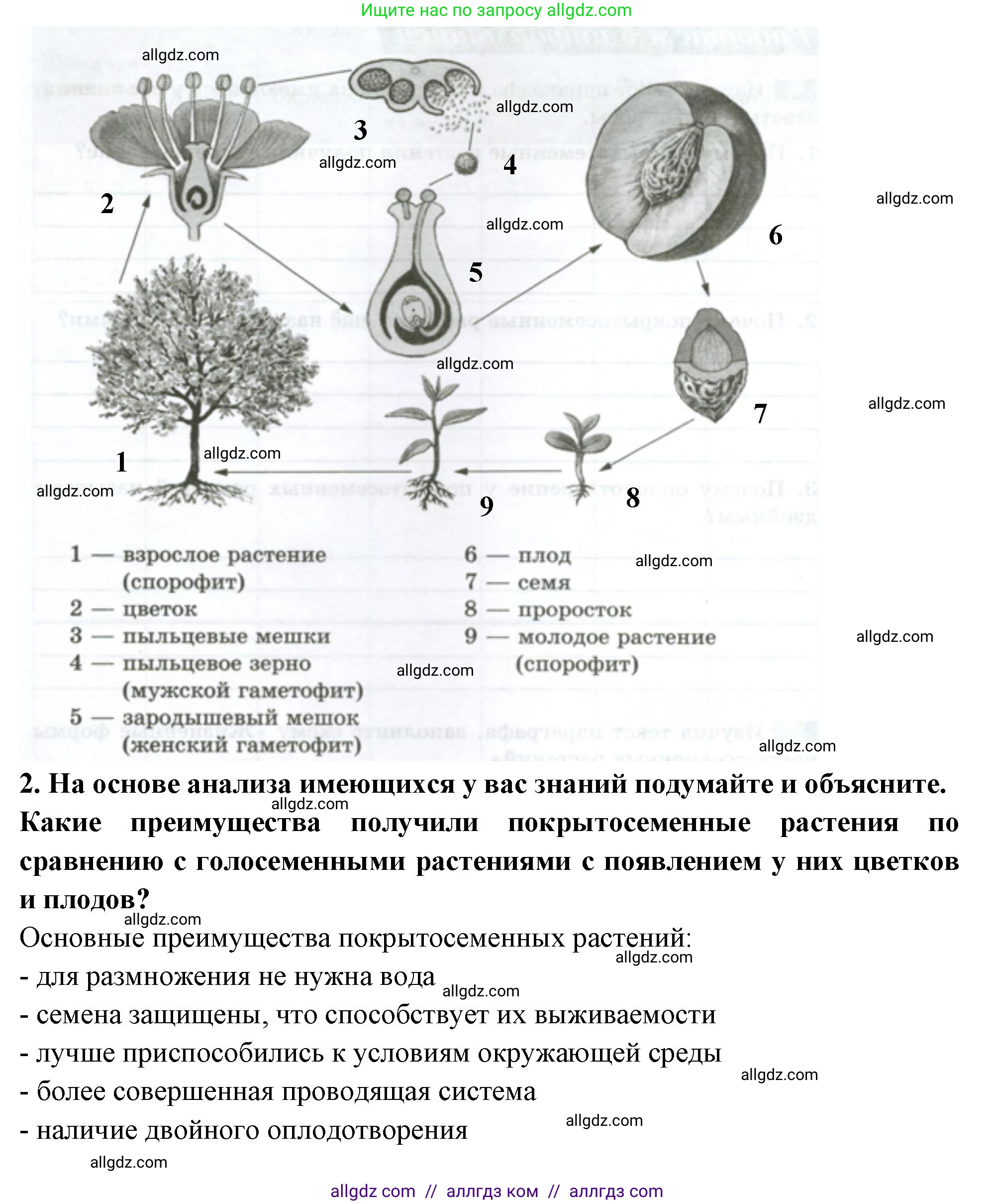 Биология, 7 класс рабочая тетрадь, авторы: Пасечник Владимир Васильевич, Суматохин Сергей Витальевич, Швецов Глеб Геннадьевич, Гапонюк Зоя Георгиевна, Косарькова Марина Викторовна, издательство Просвещение, Москва, 2023, бирюзового цвета, страница 32, номер 3, Решение (продолжение 2)