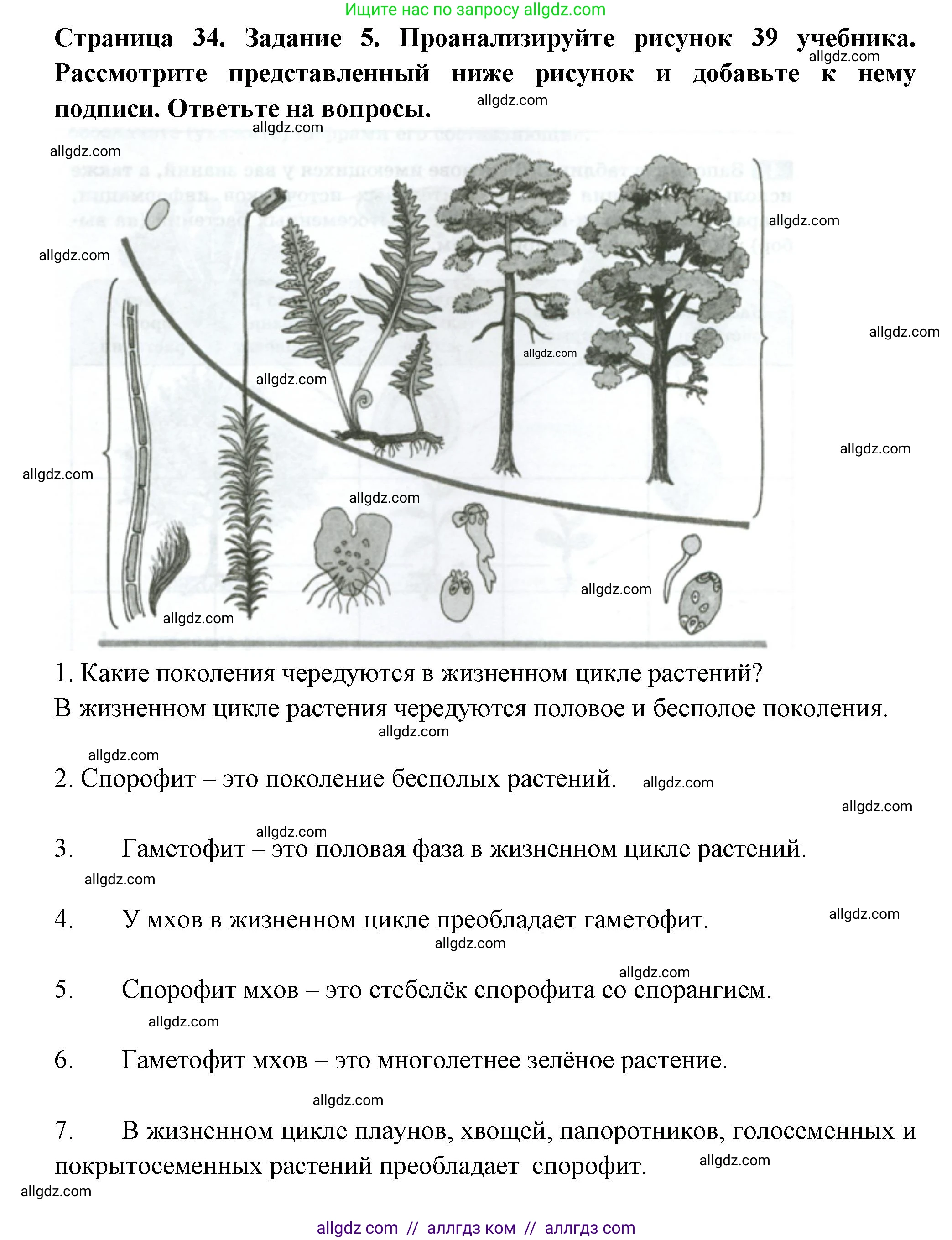 Биология, 7 класс рабочая тетрадь, авторы: Пасечник Владимир Васильевич, Суматохин Сергей Витальевич, Швецов Глеб Геннадьевич, Гапонюк Зоя Георгиевна, Косарькова Марина Викторовна, издательство Просвещение, Москва, 2023, бирюзового цвета, страница 34, номер 5, Решение