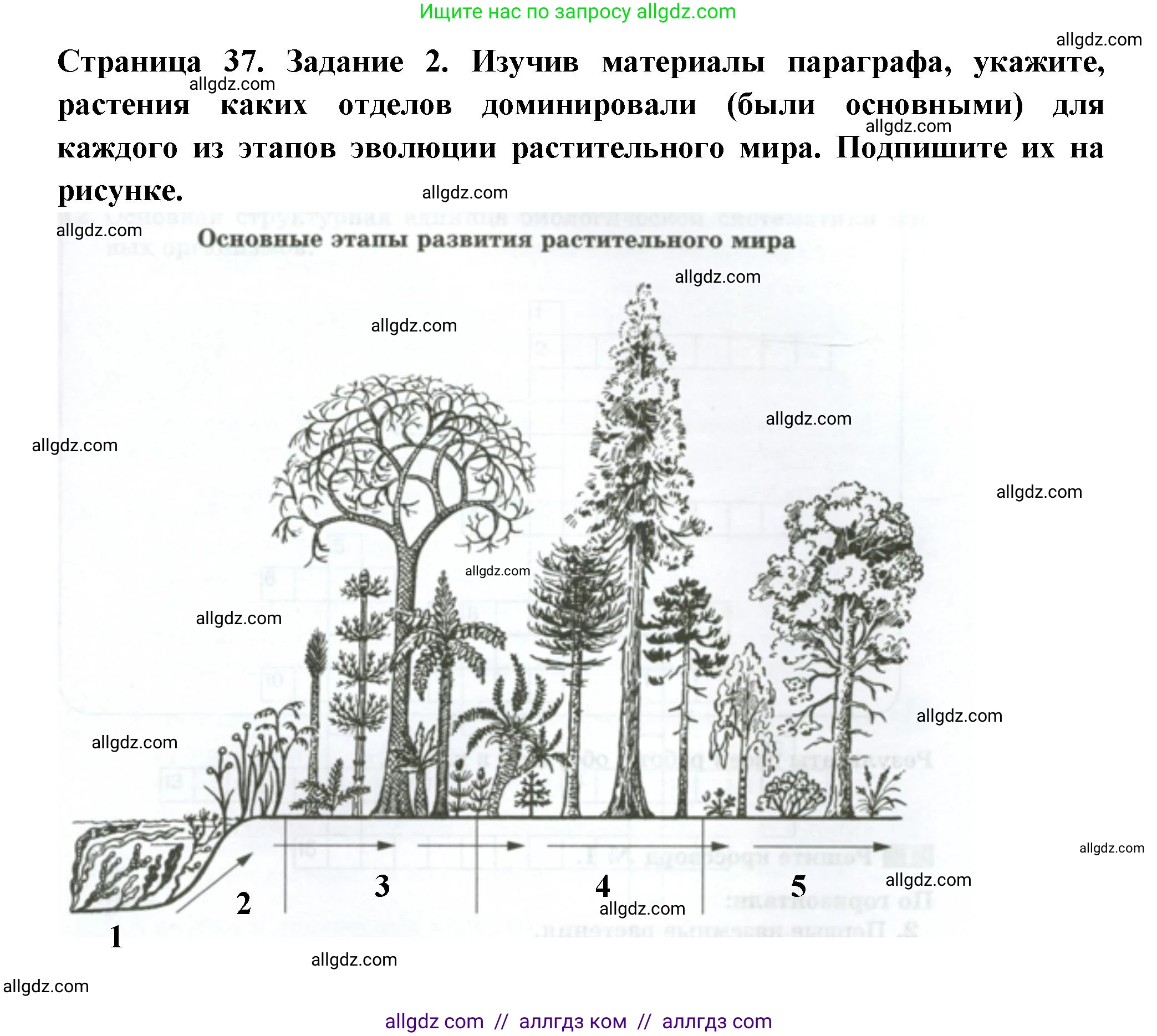 Биология, 7 класс рабочая тетрадь, авторы: Пасечник Владимир Васильевич, Суматохин Сергей Витальевич, Швецов Глеб Геннадьевич, Гапонюк Зоя Георгиевна, Косарькова Марина Викторовна, издательство Просвещение, Москва, 2023, бирюзового цвета, страница 37, номер 2, Решение