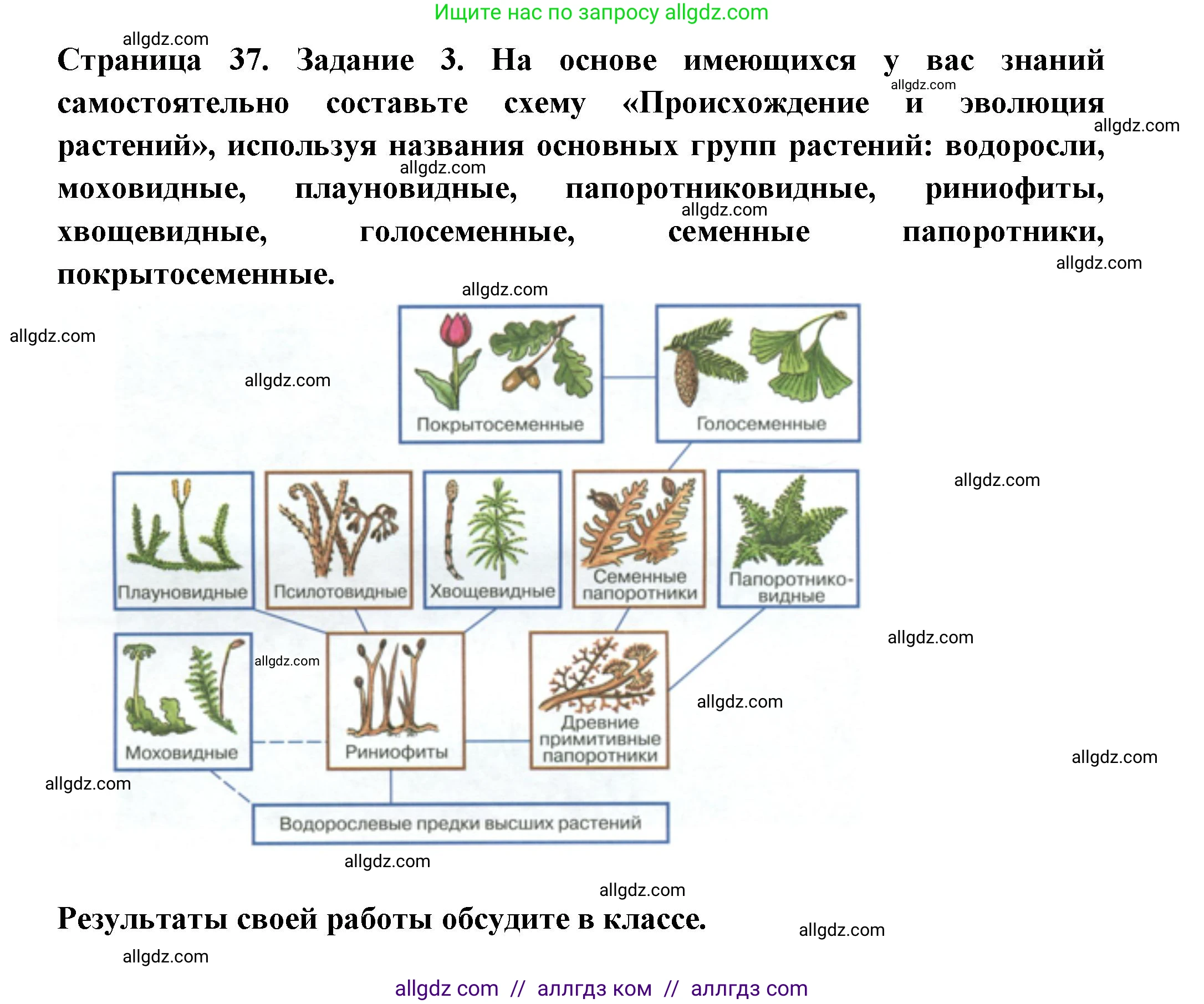 Биология, 7 класс рабочая тетрадь, авторы: Пасечник Владимир Васильевич, Суматохин Сергей Витальевич, Швецов Глеб Геннадьевич, Гапонюк Зоя Георгиевна, Косарькова Марина Викторовна, издательство Просвещение, Москва, 2023, бирюзового цвета, страница 37, номер 3, Решение