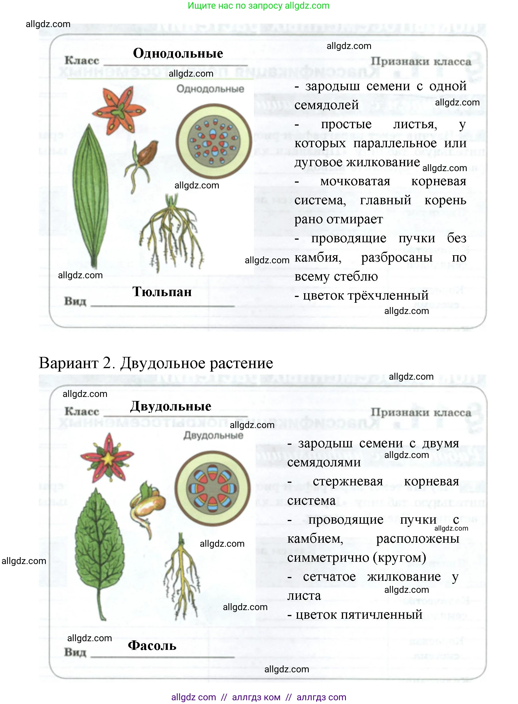 Биология, 7 класс рабочая тетрадь, авторы: Пасечник Владимир Васильевич, Суматохин Сергей Витальевич, Швецов Глеб Геннадьевич, Гапонюк Зоя Георгиевна, Косарькова Марина Викторовна, издательство Просвещение, Москва, 2023, бирюзового цвета, страница 46, номер 2, Решение (продолжение 2)