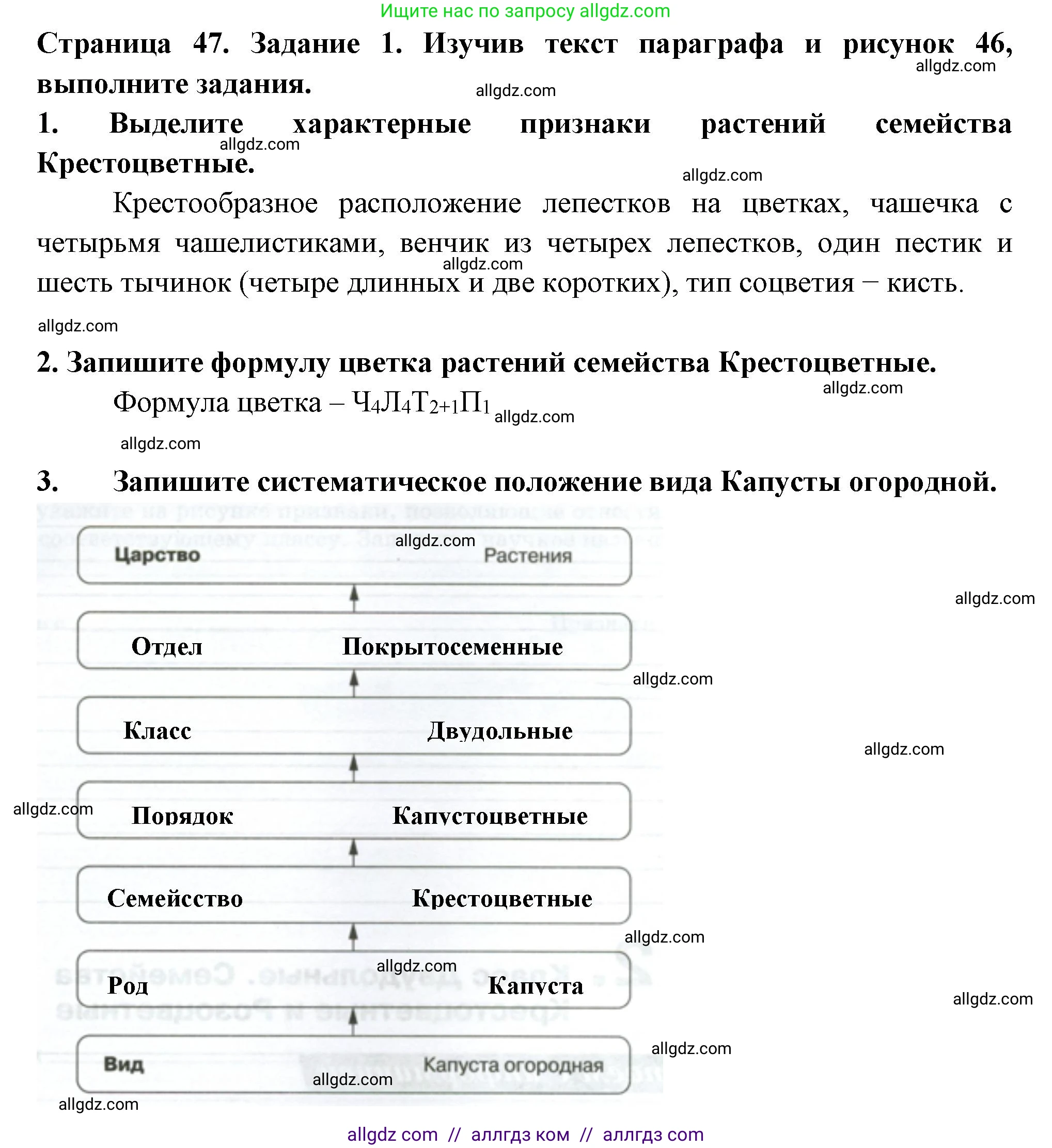 Биология, 7 класс рабочая тетрадь, авторы: Пасечник Владимир Васильевич, Суматохин Сергей Витальевич, Швецов Глеб Геннадьевич, Гапонюк Зоя Георгиевна, Косарькова Марина Викторовна, издательство Просвещение, Москва, 2023, бирюзового цвета, страница 47, номер 1, Решение