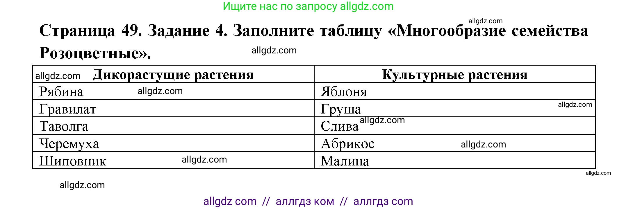 Биология, 7 класс рабочая тетрадь, авторы: Пасечник Владимир Васильевич, Суматохин Сергей Витальевич, Швецов Глеб Геннадьевич, Гапонюк Зоя Георгиевна, Косарькова Марина Викторовна, издательство Просвещение, Москва, 2023, бирюзового цвета, страница 49, номер 4, Решение