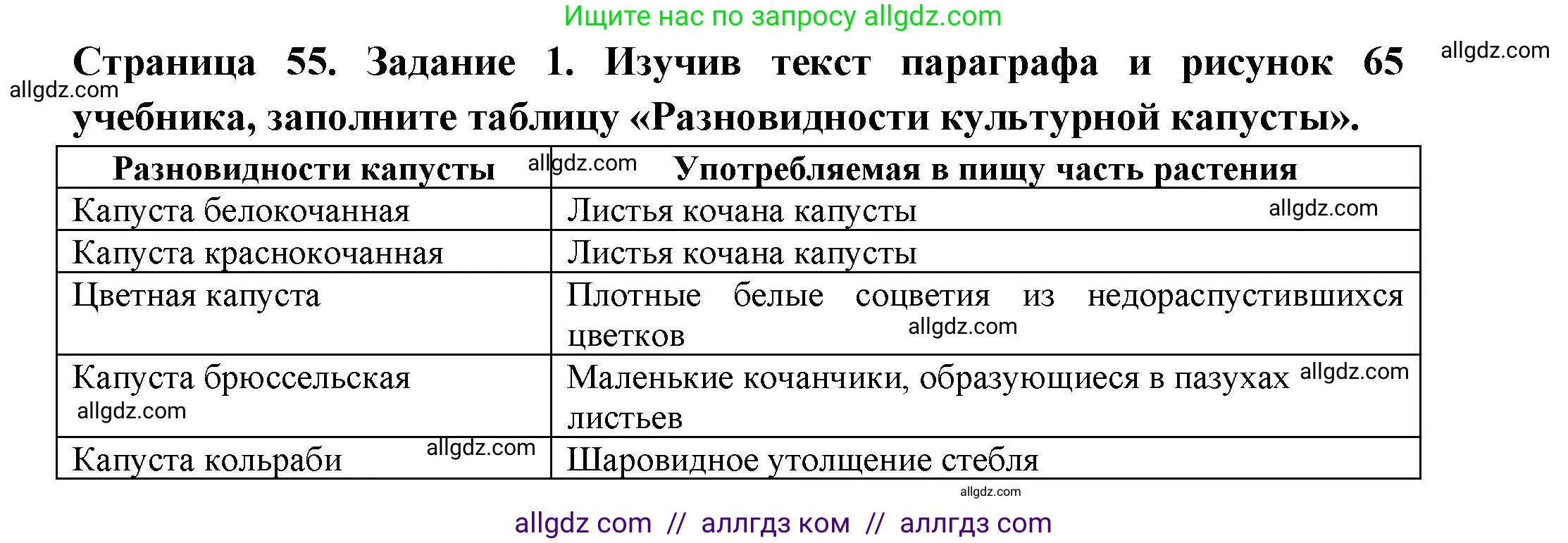Биология, 7 класс рабочая тетрадь, авторы: Пасечник Владимир Васильевич, Суматохин Сергей Витальевич, Швецов Глеб Геннадьевич, Гапонюк Зоя Георгиевна, Косарькова Марина Викторовна, издательство Просвещение, Москва, 2023, бирюзового цвета, страница 55, номер 1, Решение