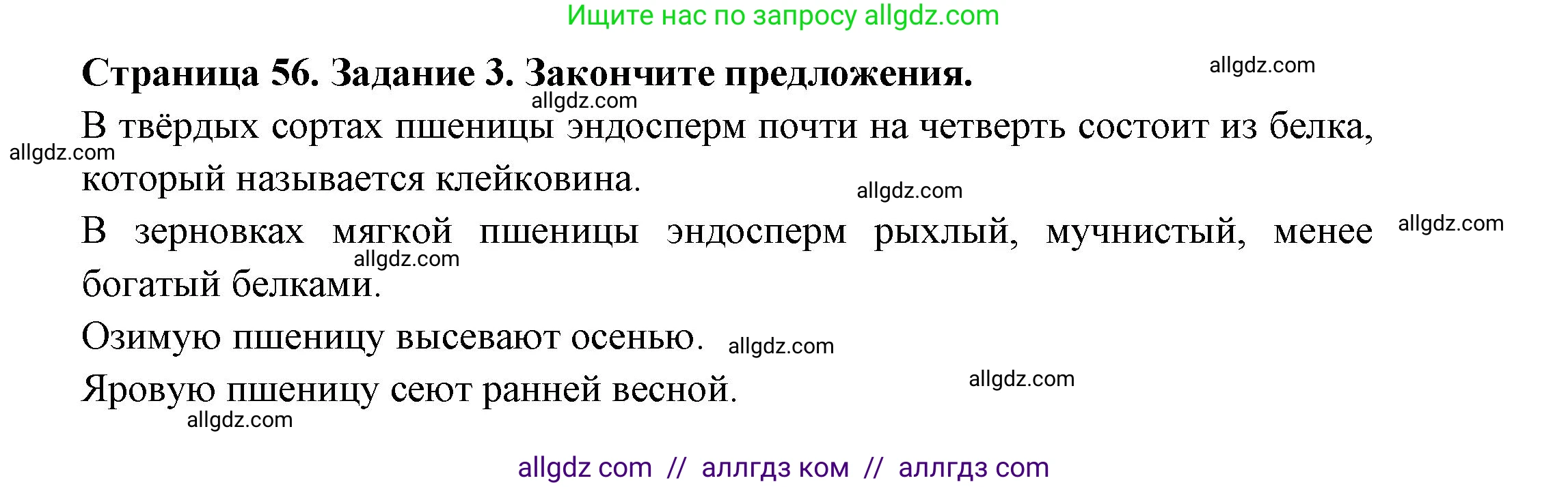 Биология, 7 класс рабочая тетрадь, авторы: Пасечник Владимир Васильевич, Суматохин Сергей Витальевич, Швецов Глеб Геннадьевич, Гапонюк Зоя Георгиевна, Косарькова Марина Викторовна, издательство Просвещение, Москва, 2023, бирюзового цвета, страница 56, номер 3, Решение