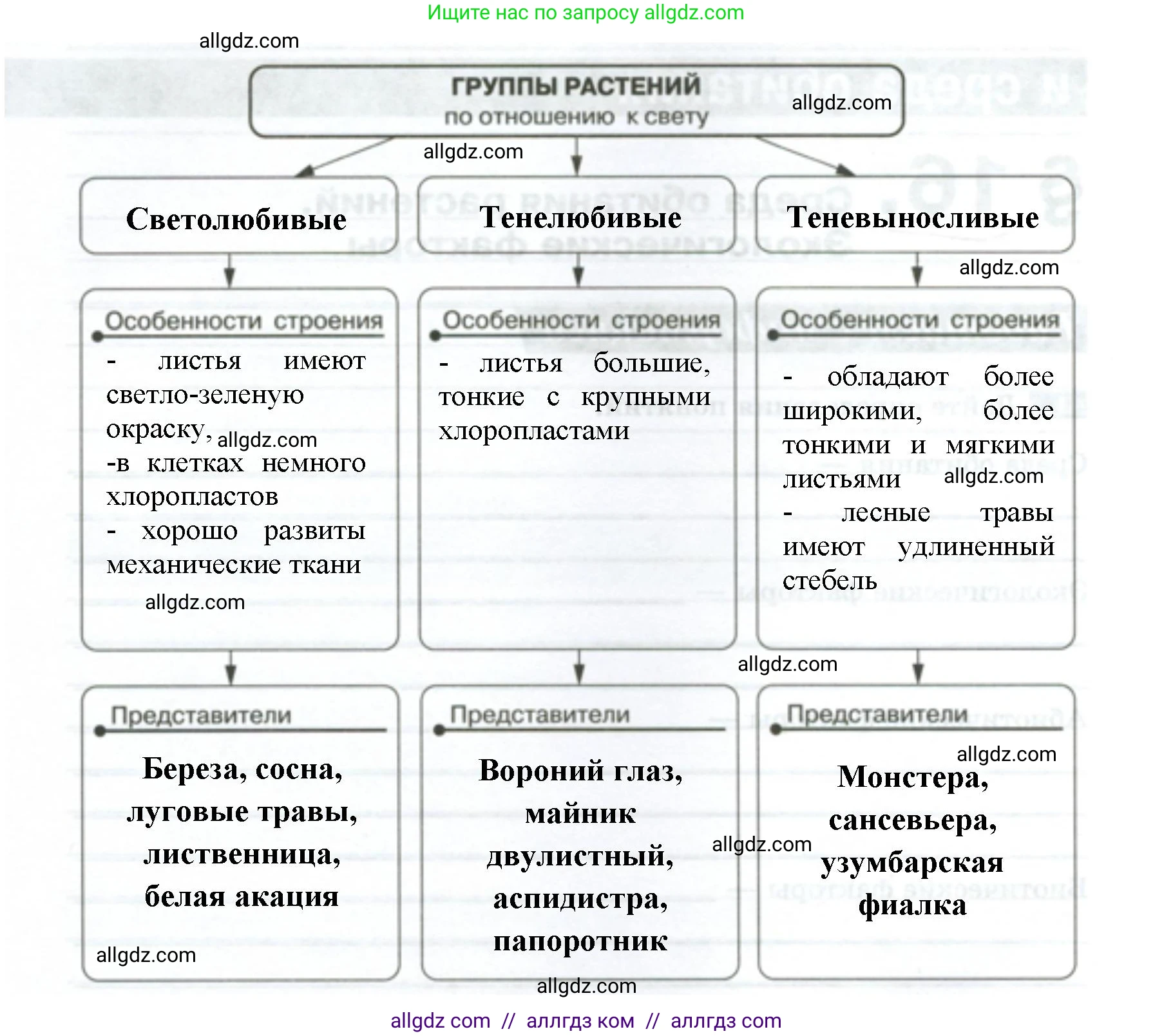 Биология, 7 класс рабочая тетрадь, авторы: Пасечник Владимир Васильевич, Суматохин Сергей Витальевич, Швецов Глеб Геннадьевич, Гапонюк Зоя Георгиевна, Косарькова Марина Викторовна, издательство Просвещение, Москва, 2023, бирюзового цвета, страница 64, номер 2, Решение (продолжение 2)