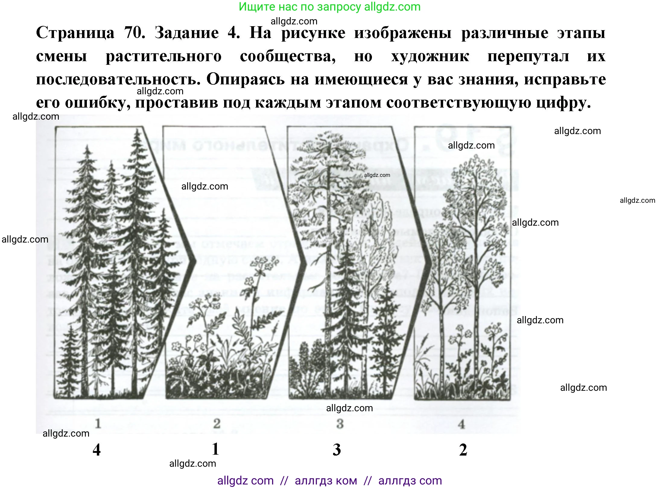 Биология, 7 класс рабочая тетрадь, авторы: Пасечник Владимир Васильевич, Суматохин Сергей Витальевич, Швецов Глеб Геннадьевич, Гапонюк Зоя Георгиевна, Косарькова Марина Викторовна, издательство Просвещение, Москва, 2023, бирюзового цвета, страница 70, номер 4, Решение