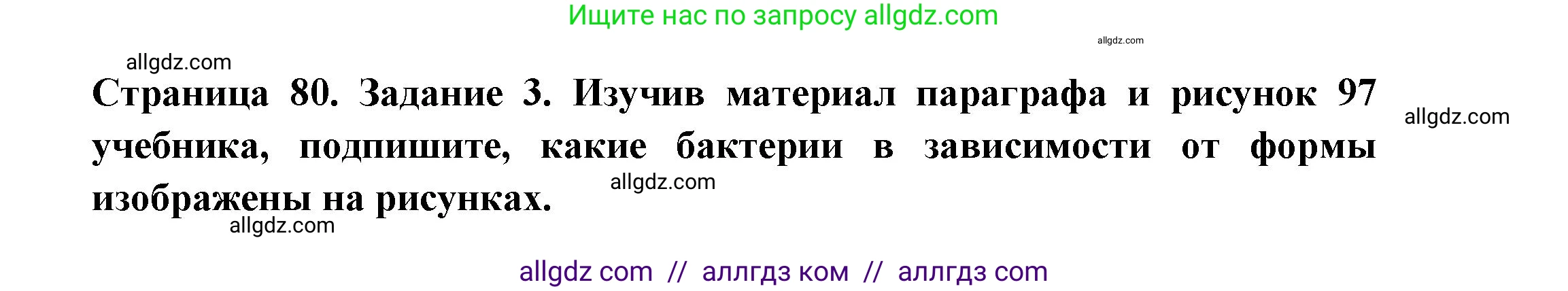 Биология, 7 класс рабочая тетрадь, авторы: Пасечник Владимир Васильевич, Суматохин Сергей Витальевич, Швецов Глеб Геннадьевич, Гапонюк Зоя Георгиевна, Косарькова Марина Викторовна, издательство Просвещение, Москва, 2023, бирюзового цвета, страница 80, номер 3, Решение
