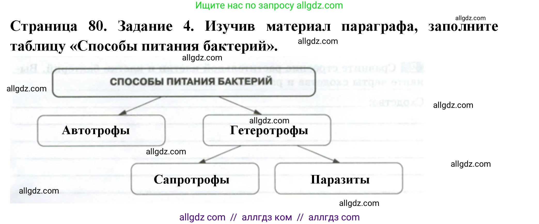 Биология, 7 класс рабочая тетрадь, авторы: Пасечник Владимир Васильевич, Суматохин Сергей Витальевич, Швецов Глеб Геннадьевич, Гапонюк Зоя Георгиевна, Косарькова Марина Викторовна, издательство Просвещение, Москва, 2023, бирюзового цвета, страница 80, номер 4, Решение