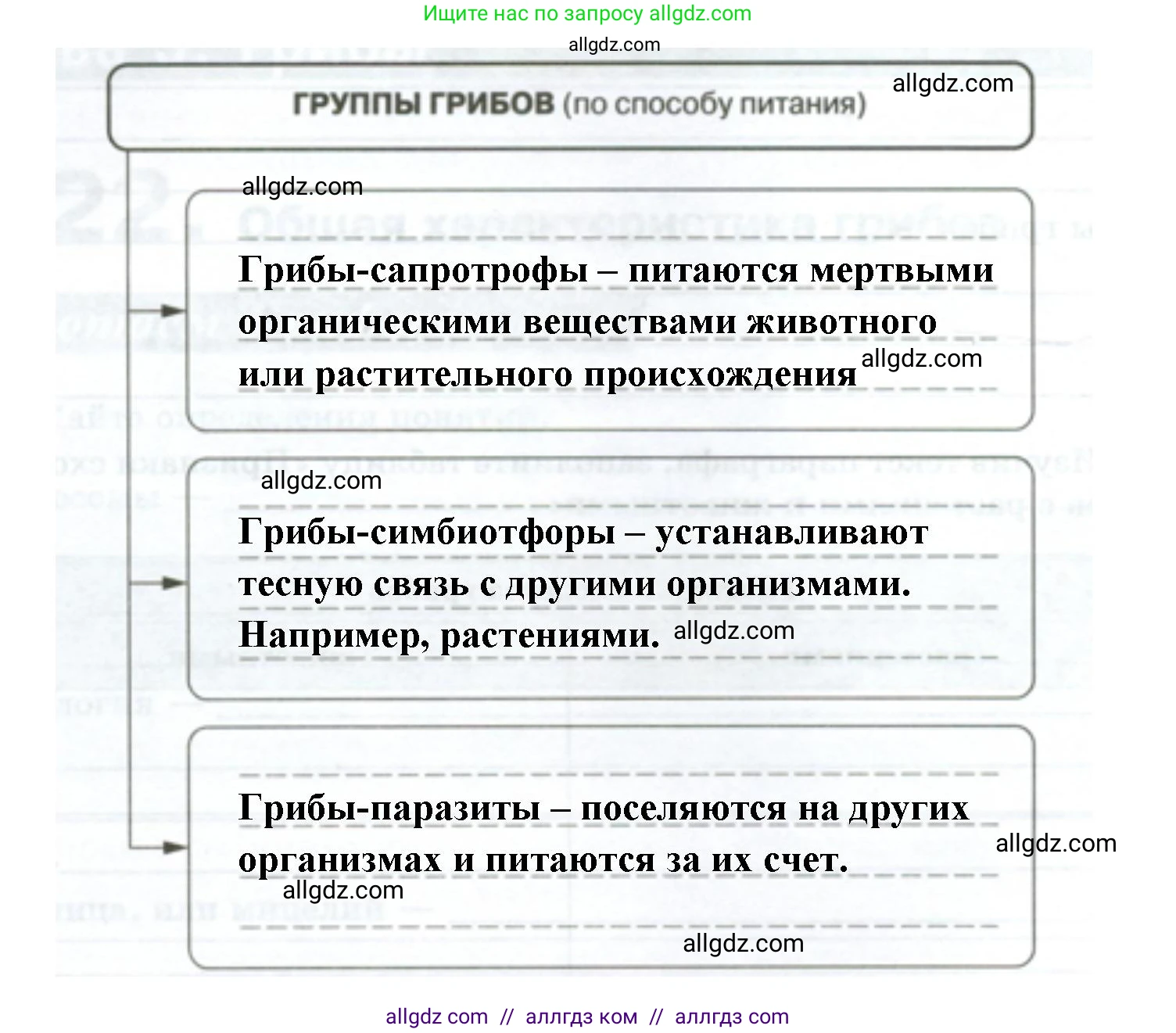 Биология, 7 класс рабочая тетрадь, авторы: Пасечник Владимир Васильевич, Суматохин Сергей Витальевич, Швецов Глеб Геннадьевич, Гапонюк Зоя Георгиевна, Косарькова Марина Викторовна, издательство Просвещение, Москва, 2023, бирюзового цвета, страница 88, номер 3, Решение (продолжение 2)