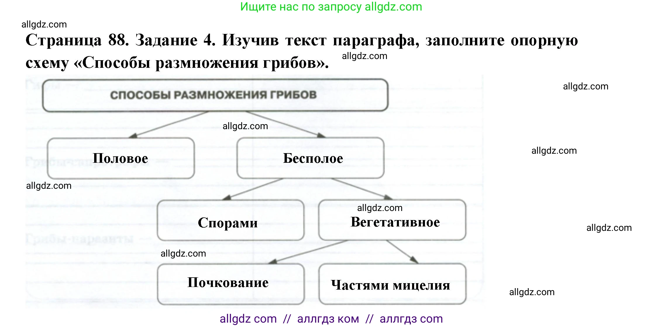 Биология, 7 класс рабочая тетрадь, авторы: Пасечник Владимир Васильевич, Суматохин Сергей Витальевич, Швецов Глеб Геннадьевич, Гапонюк Зоя Георгиевна, Косарькова Марина Викторовна, издательство Просвещение, Москва, 2023, бирюзового цвета, страница 88, номер 4, Решение