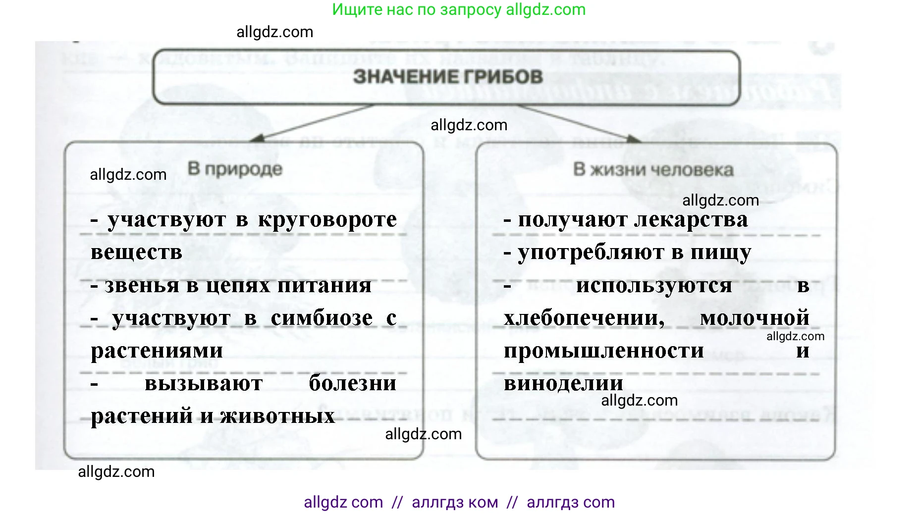 Биология, 7 класс рабочая тетрадь, авторы: Пасечник Владимир Васильевич, Суматохин Сергей Витальевич, Швецов Глеб Геннадьевич, Гапонюк Зоя Георгиевна, Косарькова Марина Викторовна, издательство Просвещение, Москва, 2023, бирюзового цвета, страница 89, номер 5, Решение (продолжение 2)
