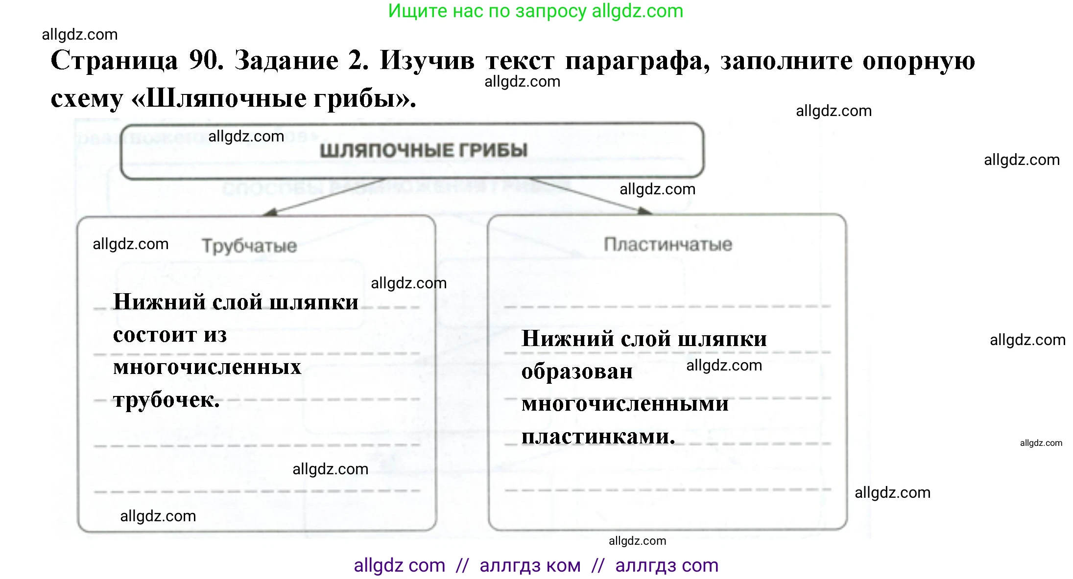 Биология, 7 класс рабочая тетрадь, авторы: Пасечник Владимир Васильевич, Суматохин Сергей Витальевич, Швецов Глеб Геннадьевич, Гапонюк Зоя Георгиевна, Косарькова Марина Викторовна, издательство Просвещение, Москва, 2023, бирюзового цвета, страница 90, номер 2, Решение