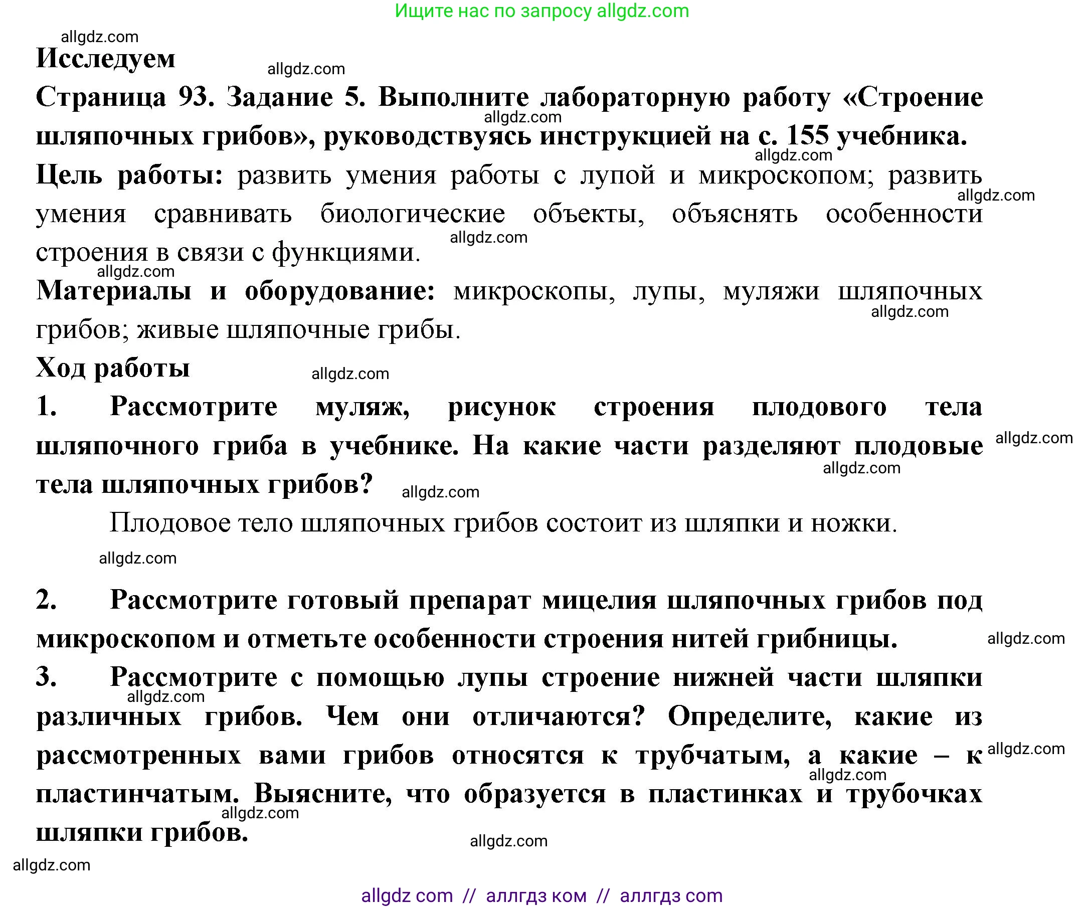 Биология, 7 класс рабочая тетрадь, авторы: Пасечник Владимир Васильевич, Суматохин Сергей Витальевич, Швецов Глеб Геннадьевич, Гапонюк Зоя Георгиевна, Косарькова Марина Викторовна, издательство Просвещение, Москва, 2023, бирюзового цвета, страница 93, номер 5, Решение
