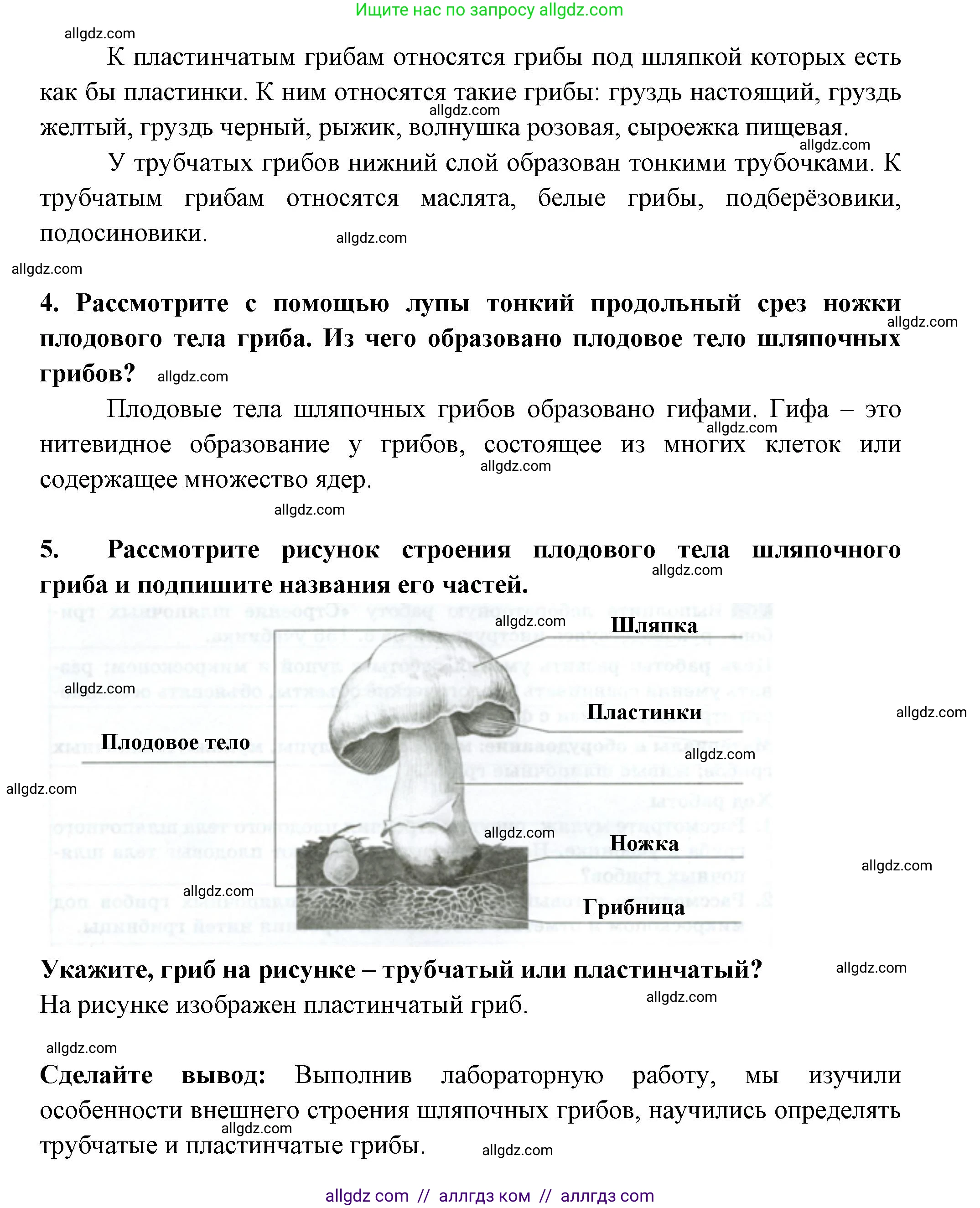 Биология, 7 класс рабочая тетрадь, авторы: Пасечник Владимир Васильевич, Суматохин Сергей Витальевич, Швецов Глеб Геннадьевич, Гапонюк Зоя Георгиевна, Косарькова Марина Викторовна, издательство Просвещение, Москва, 2023, бирюзового цвета, страница 93, номер 5, Решение (продолжение 2)