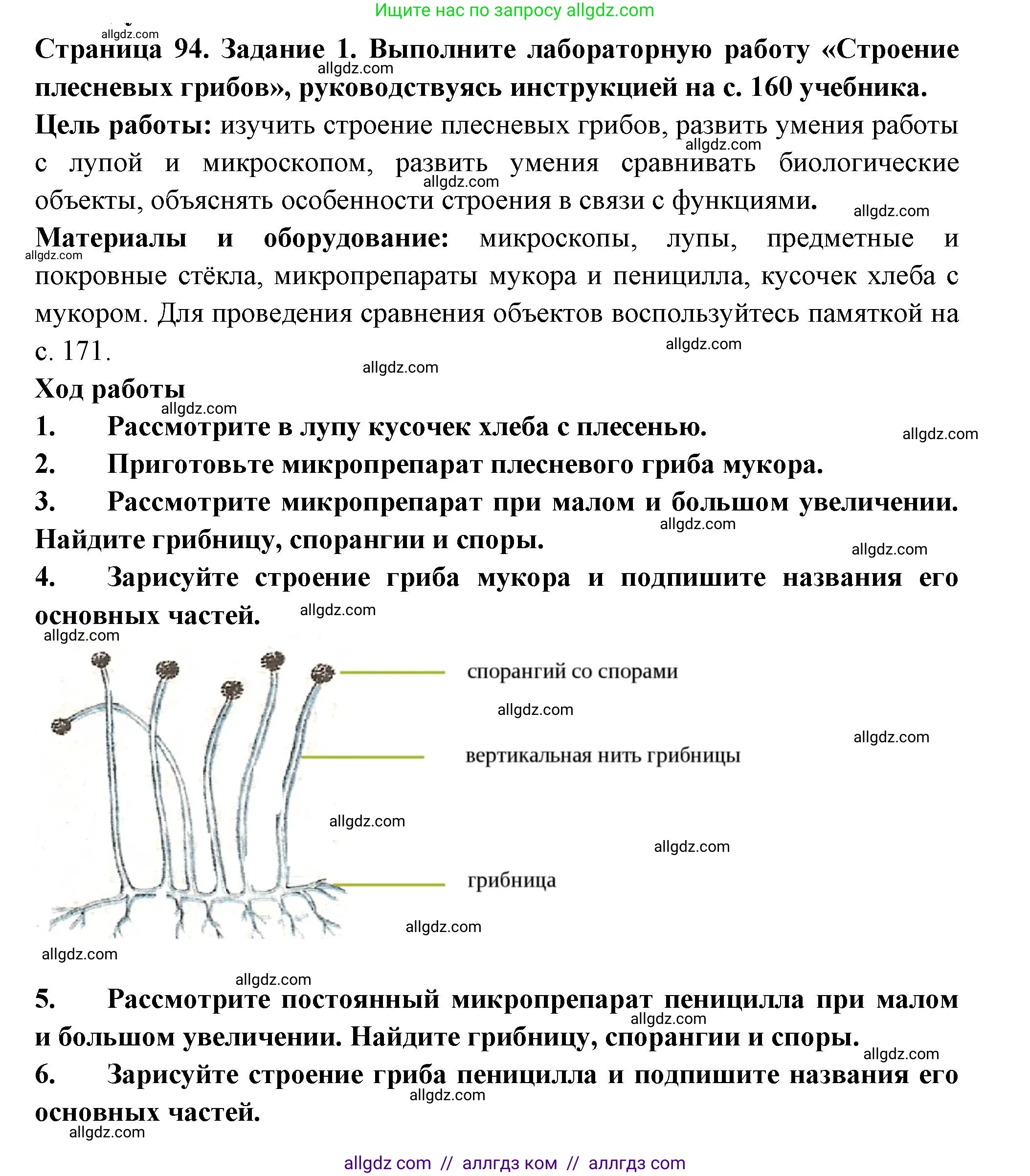 Биология, 7 класс рабочая тетрадь, авторы: Пасечник Владимир Васильевич, Суматохин Сергей Витальевич, Швецов Глеб Геннадьевич, Гапонюк Зоя Георгиевна, Косарькова Марина Викторовна, издательство Просвещение, Москва, 2023, бирюзового цвета, страница 94, номер 1, Решение