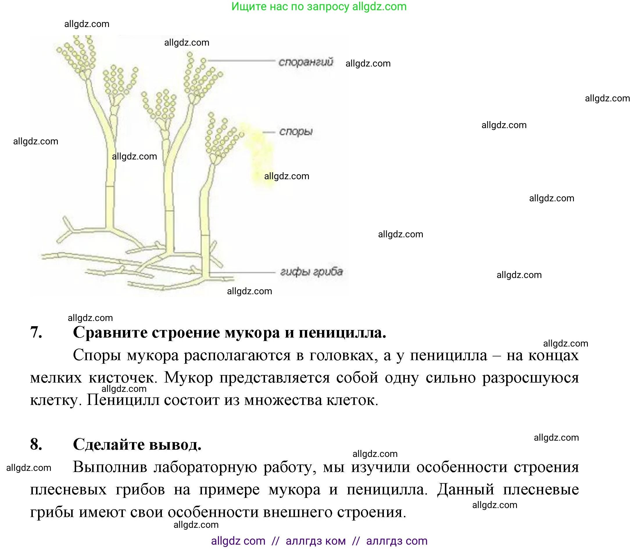Биология, 7 класс рабочая тетрадь, авторы: Пасечник Владимир Васильевич, Суматохин Сергей Витальевич, Швецов Глеб Геннадьевич, Гапонюк Зоя Георгиевна, Косарькова Марина Викторовна, издательство Просвещение, Москва, 2023, бирюзового цвета, страница 94, номер 1, Решение (продолжение 2)