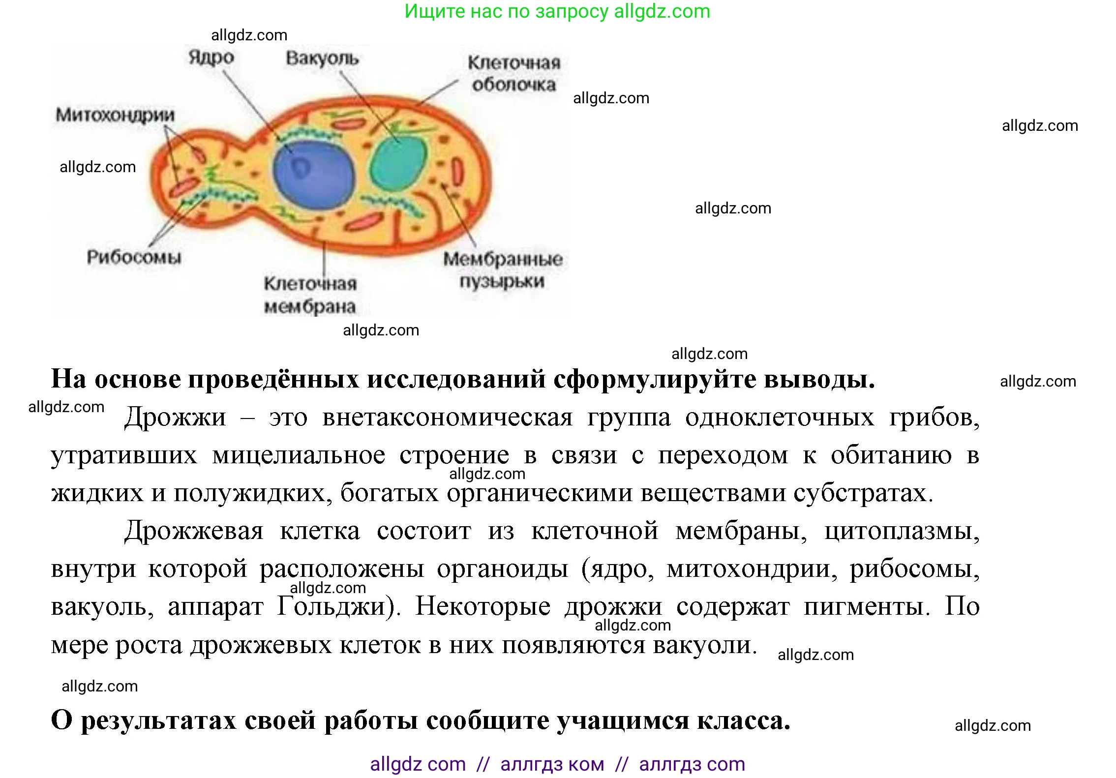 Биология, 7 класс рабочая тетрадь, авторы: Пасечник Владимир Васильевич, Суматохин Сергей Витальевич, Швецов Глеб Геннадьевич, Гапонюк Зоя Георгиевна, Косарькова Марина Викторовна, издательство Просвещение, Москва, 2023, бирюзового цвета, страница 96, номер 2, Решение (продолжение 2)
