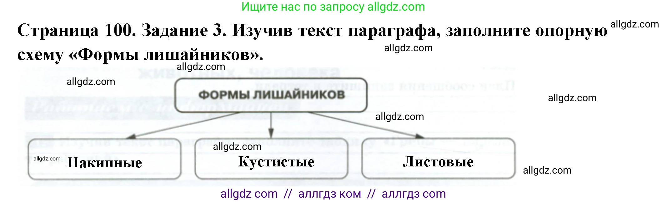 Биология, 7 класс рабочая тетрадь, авторы: Пасечник Владимир Васильевич, Суматохин Сергей Витальевич, Швецов Глеб Геннадьевич, Гапонюк Зоя Георгиевна, Косарькова Марина Викторовна, издательство Просвещение, Москва, 2023, бирюзового цвета, страница 100, номер 3, Решение