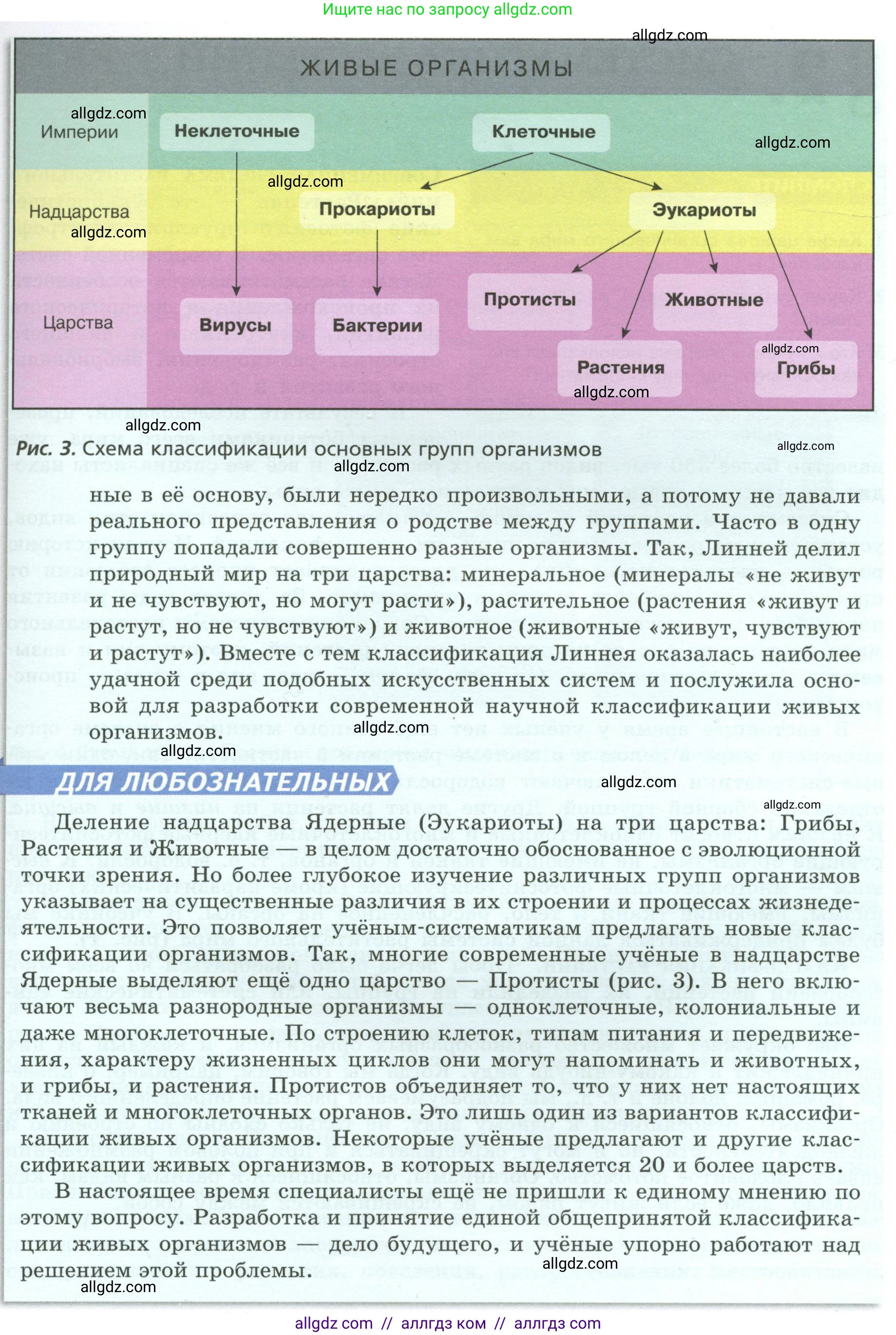 Биология, 7 класс Учебник, авторы: Пасечник Владимир Васильевич, Суматохин Сергей Витальевич, Гапонюк Зоя Георгиевна, Швецов Глеб Геннадьевич, издательство Просвещение, Москва, 2023, бирюзового цвета, страница 8, Условие (продолжение 2)