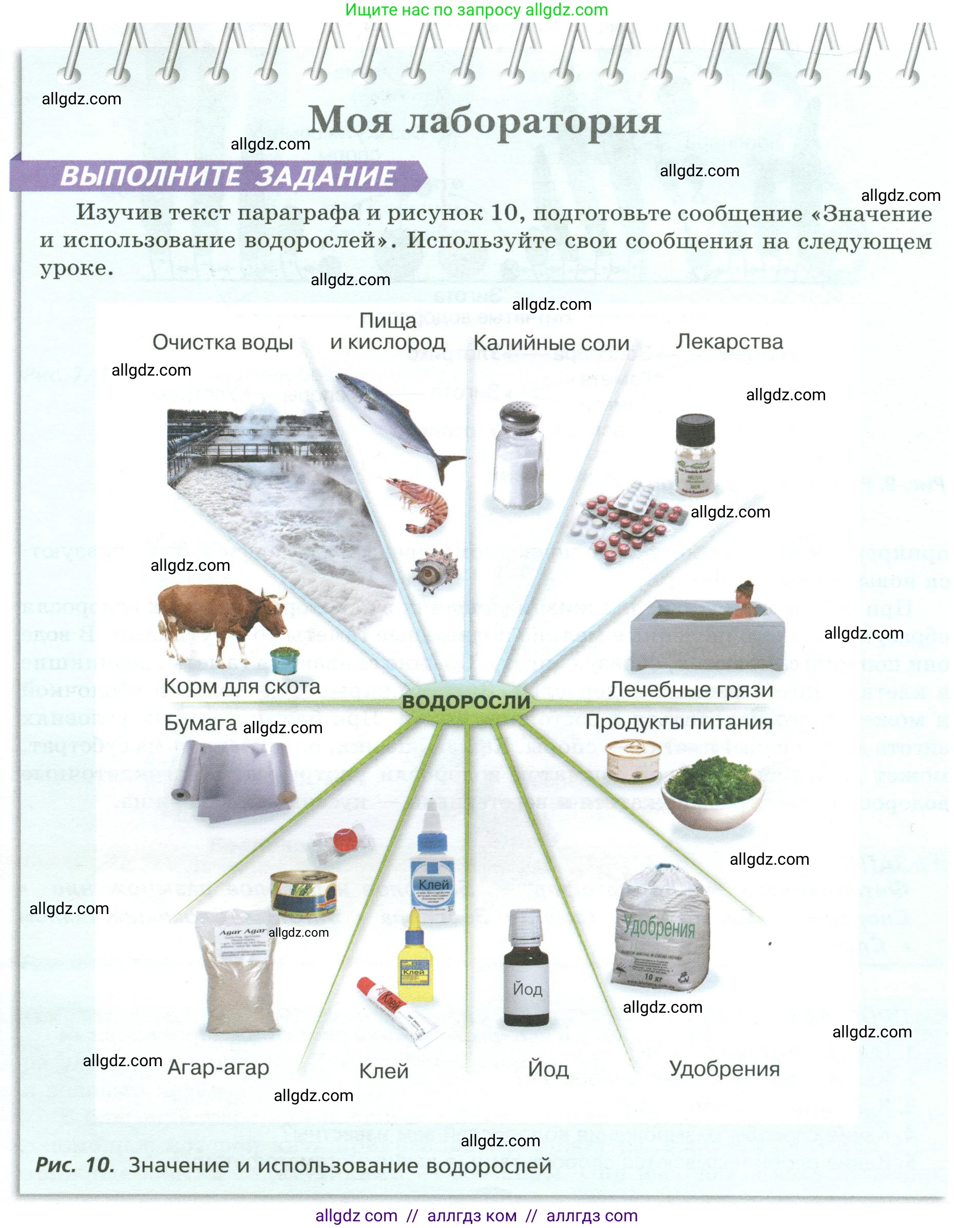 Биология, 7 класс Учебник, авторы: Пасечник Владимир Васильевич, Суматохин Сергей Витальевич, Гапонюк Зоя Георгиевна, Швецов Глеб Геннадьевич, издательство Просвещение, Москва, 2023, бирюзового цвета, страница 20, Условие