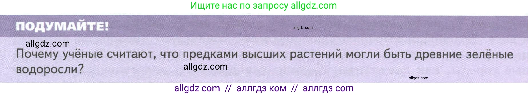 Биология, 7 класс Учебник, авторы: Пасечник Владимир Васильевич, Суматохин Сергей Витальевич, Гапонюк Зоя Георгиевна, Швецов Глеб Геннадьевич, издательство Просвещение, Москва, 2023, бирюзового цвета, страница 26, Условие