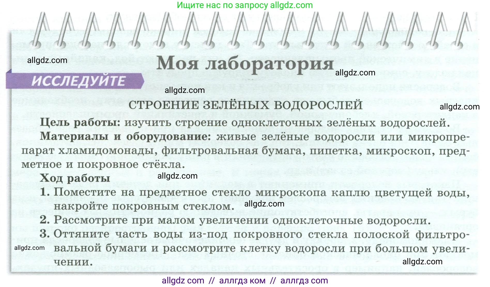 Биология, 7 класс Учебник, авторы: Пасечник Владимир Васильевич, Суматохин Сергей Витальевич, Гапонюк Зоя Георгиевна, Швецов Глеб Геннадьевич, издательство Просвещение, Москва, 2023, бирюзового цвета, страница 26, Условие