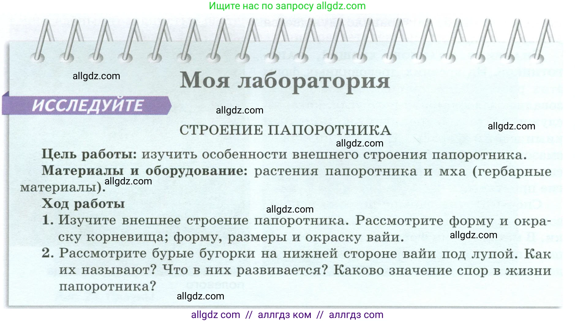 Биология, 7 класс Учебник, авторы: Пасечник Владимир Васильевич, Суматохин Сергей Витальевич, Гапонюк Зоя Георгиевна, Швецов Глеб Геннадьевич, издательство Просвещение, Москва, 2023, бирюзового цвета, страница 38, Условие