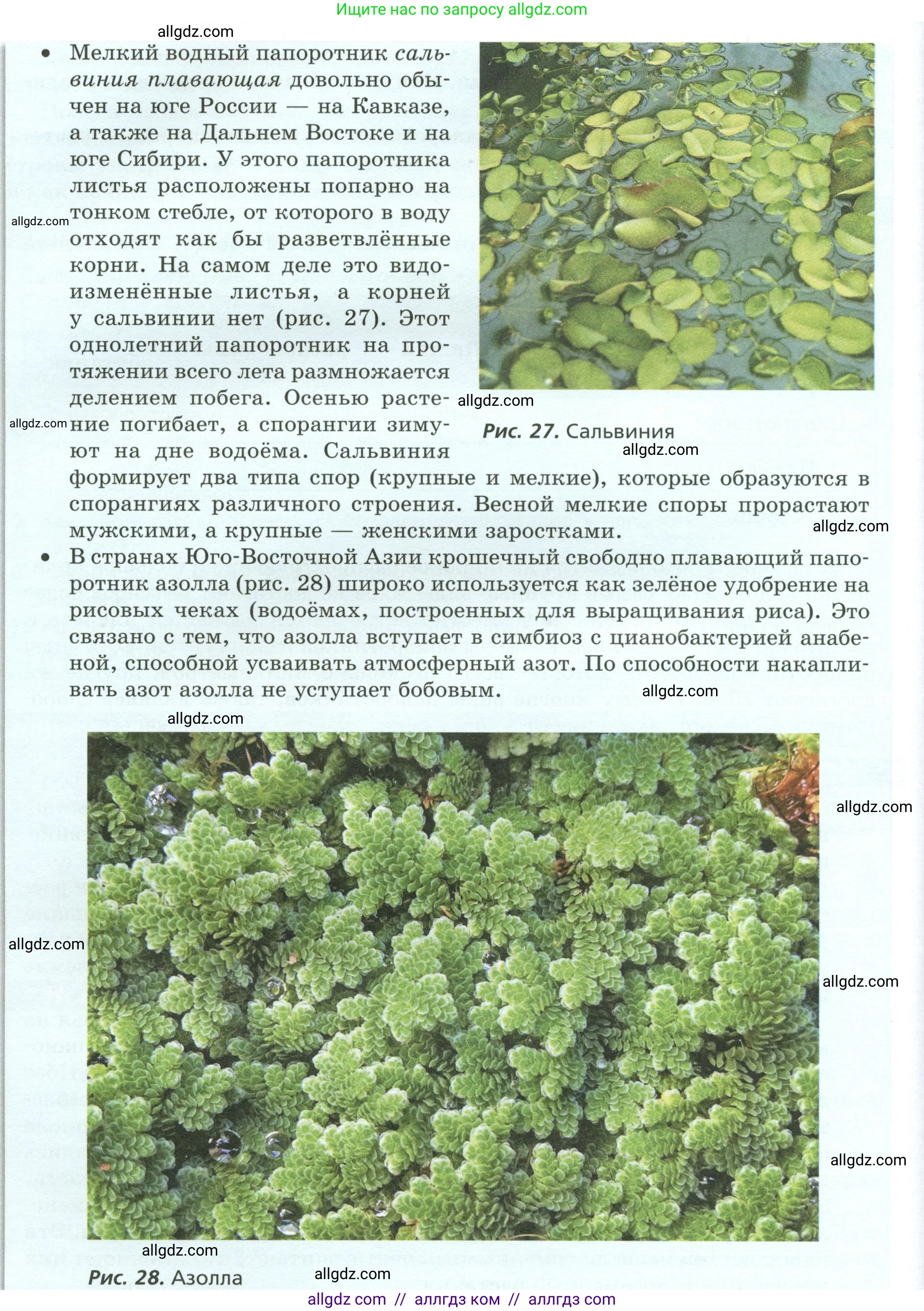 Биология, 7 класс Учебник, авторы: Пасечник Владимир Васильевич, Суматохин Сергей Витальевич, Гапонюк Зоя Георгиевна, Швецов Глеб Геннадьевич, издательство Просвещение, Москва, 2023, бирюзового цвета, страница 38, Условие (продолжение 3)
