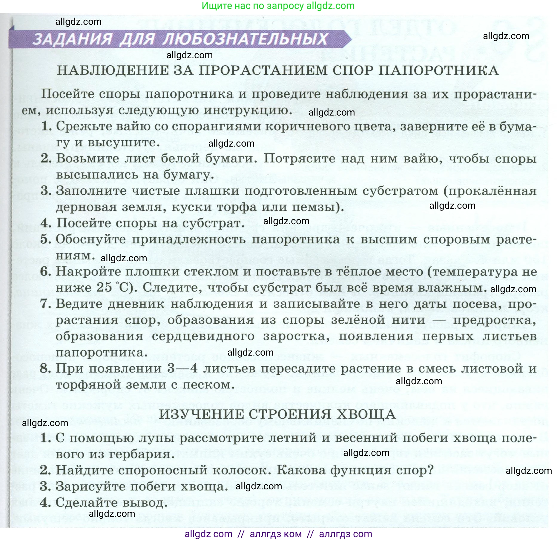 Биология, 7 класс Учебник, авторы: Пасечник Владимир Васильевич, Суматохин Сергей Витальевич, Гапонюк Зоя Георгиевна, Швецов Глеб Геннадьевич, издательство Просвещение, Москва, 2023, бирюзового цвета, страница 38, Условие (продолжение 4)