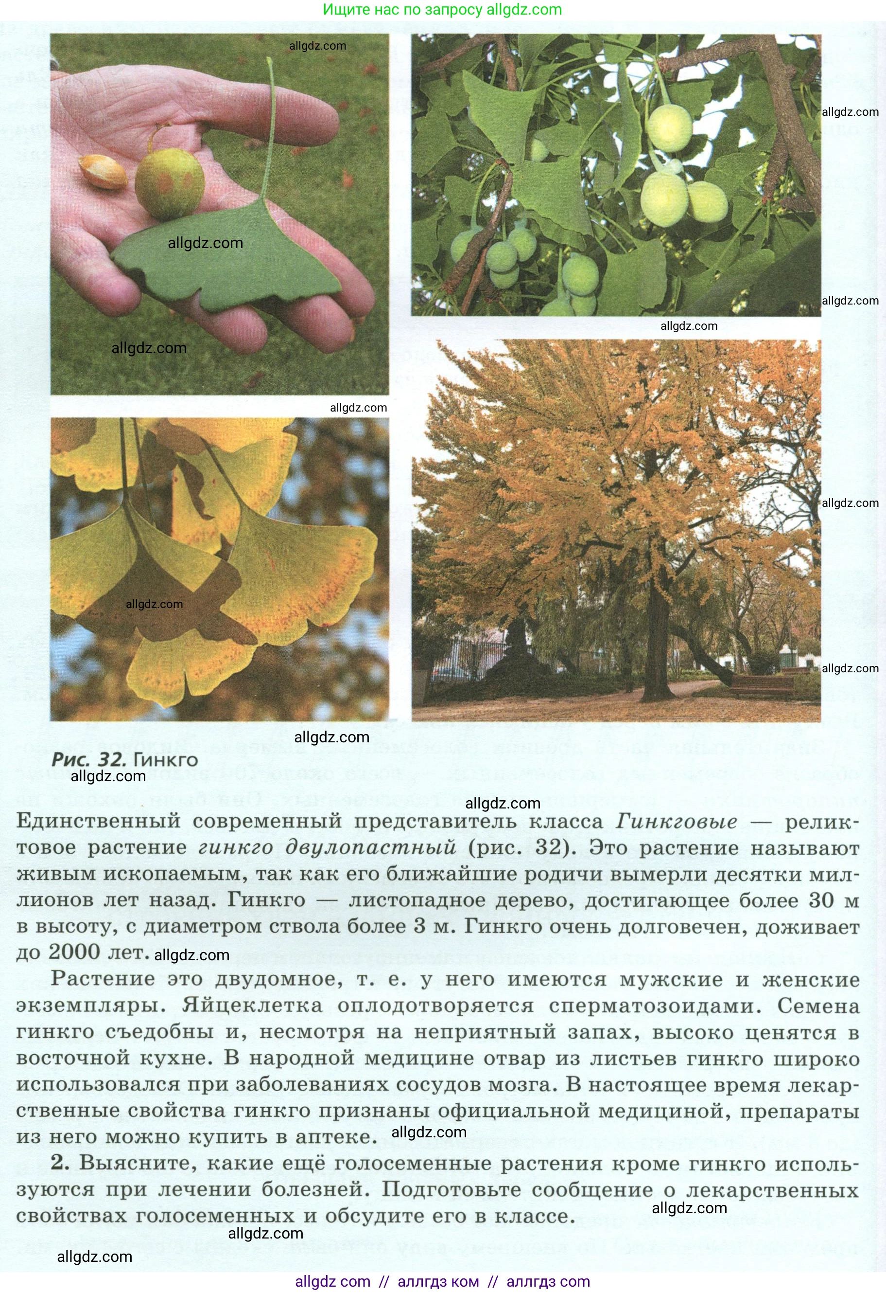 Биология, 7 класс Учебник, авторы: Пасечник Владимир Васильевич, Суматохин Сергей Витальевич, Гапонюк Зоя Георгиевна, Швецов Глеб Геннадьевич, издательство Просвещение, Москва, 2023, бирюзового цвета, страница 46, Условие (продолжение 3)