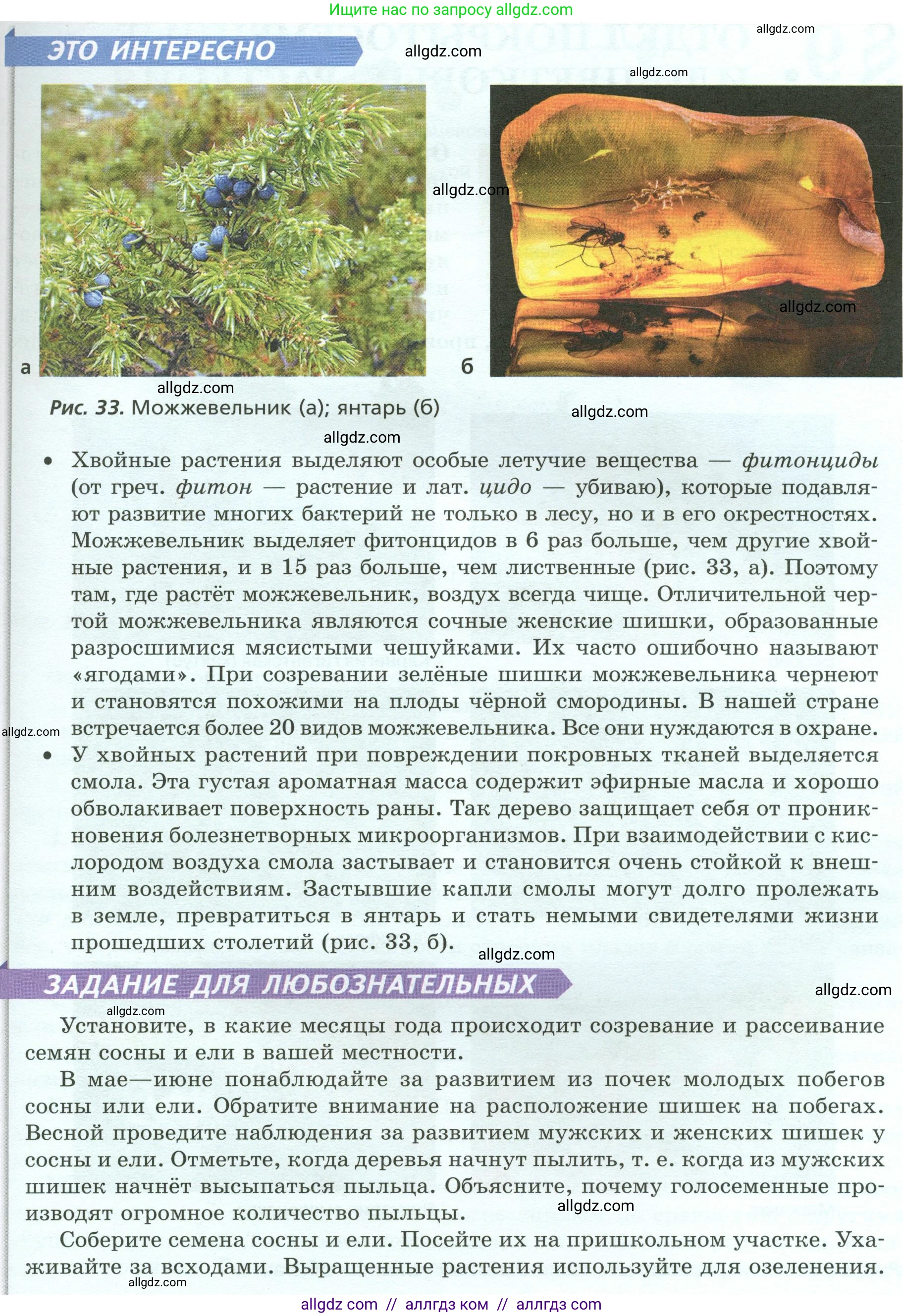 Биология, 7 класс Учебник, авторы: Пасечник Владимир Васильевич, Суматохин Сергей Витальевич, Гапонюк Зоя Георгиевна, Швецов Глеб Геннадьевич, издательство Просвещение, Москва, 2023, бирюзового цвета, страница 46, Условие (продолжение 4)