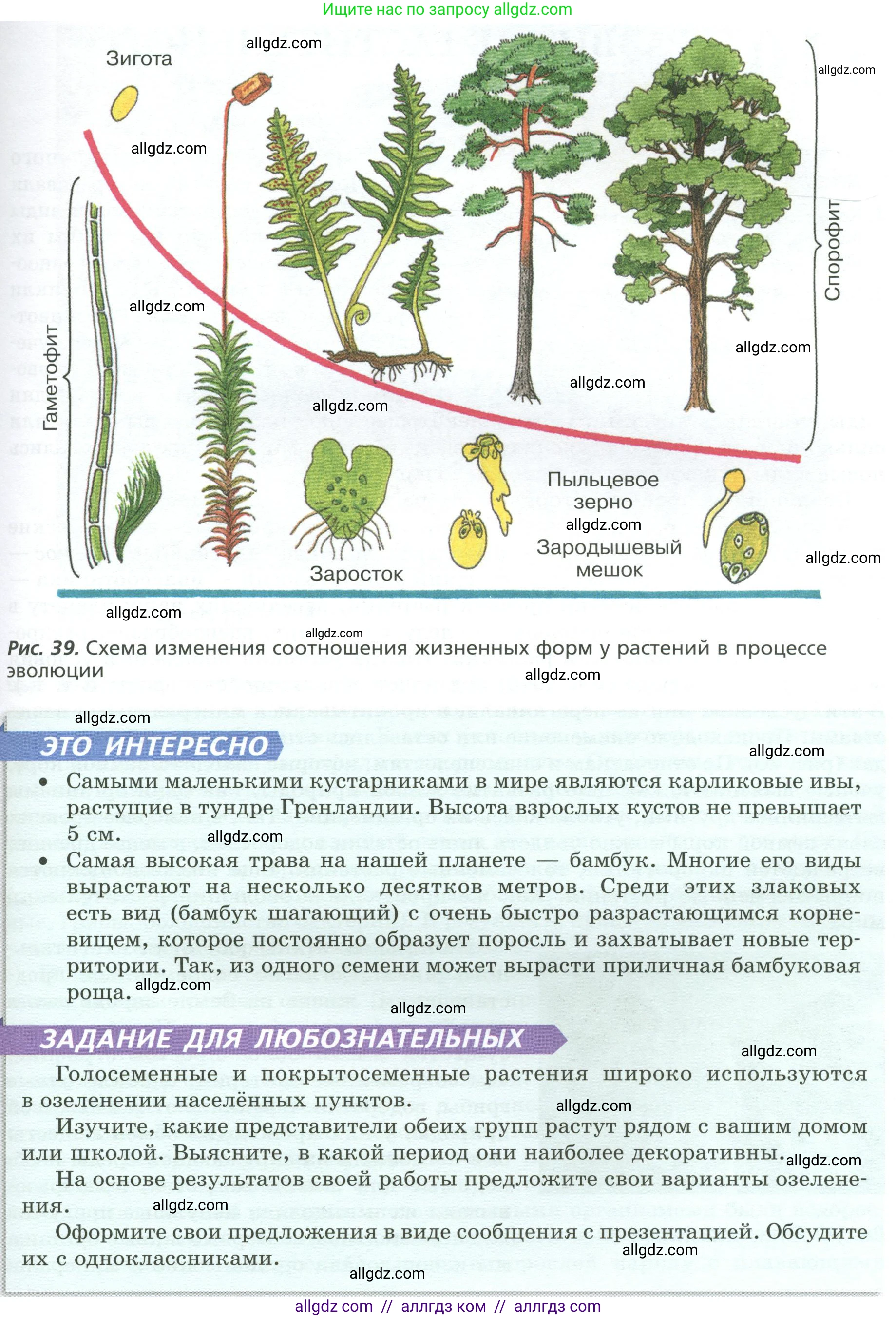 Биология, 7 класс Учебник, авторы: Пасечник Владимир Васильевич, Суматохин Сергей Витальевич, Гапонюк Зоя Георгиевна, Швецов Глеб Геннадьевич, издательство Просвещение, Москва, 2023, бирюзового цвета, страница 54, Условие (продолжение 2)