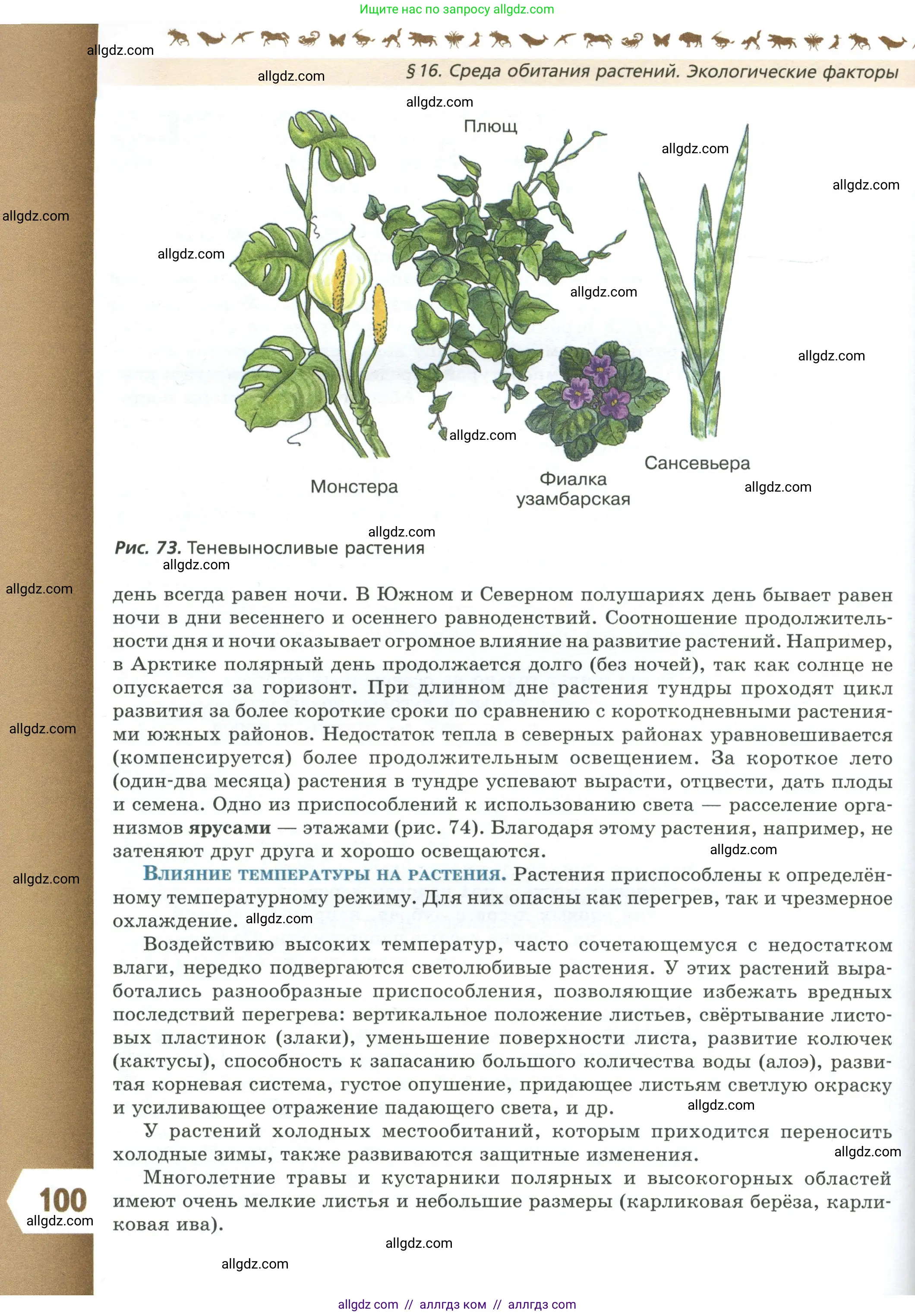 Биология, 7 класс Учебник, авторы: Пасечник Владимир Васильевич, Суматохин Сергей Витальевич, Гапонюк Зоя Георгиевна, Швецов Глеб Геннадьевич, издательство Просвещение, Москва, 2023, бирюзового цвета, страница 100