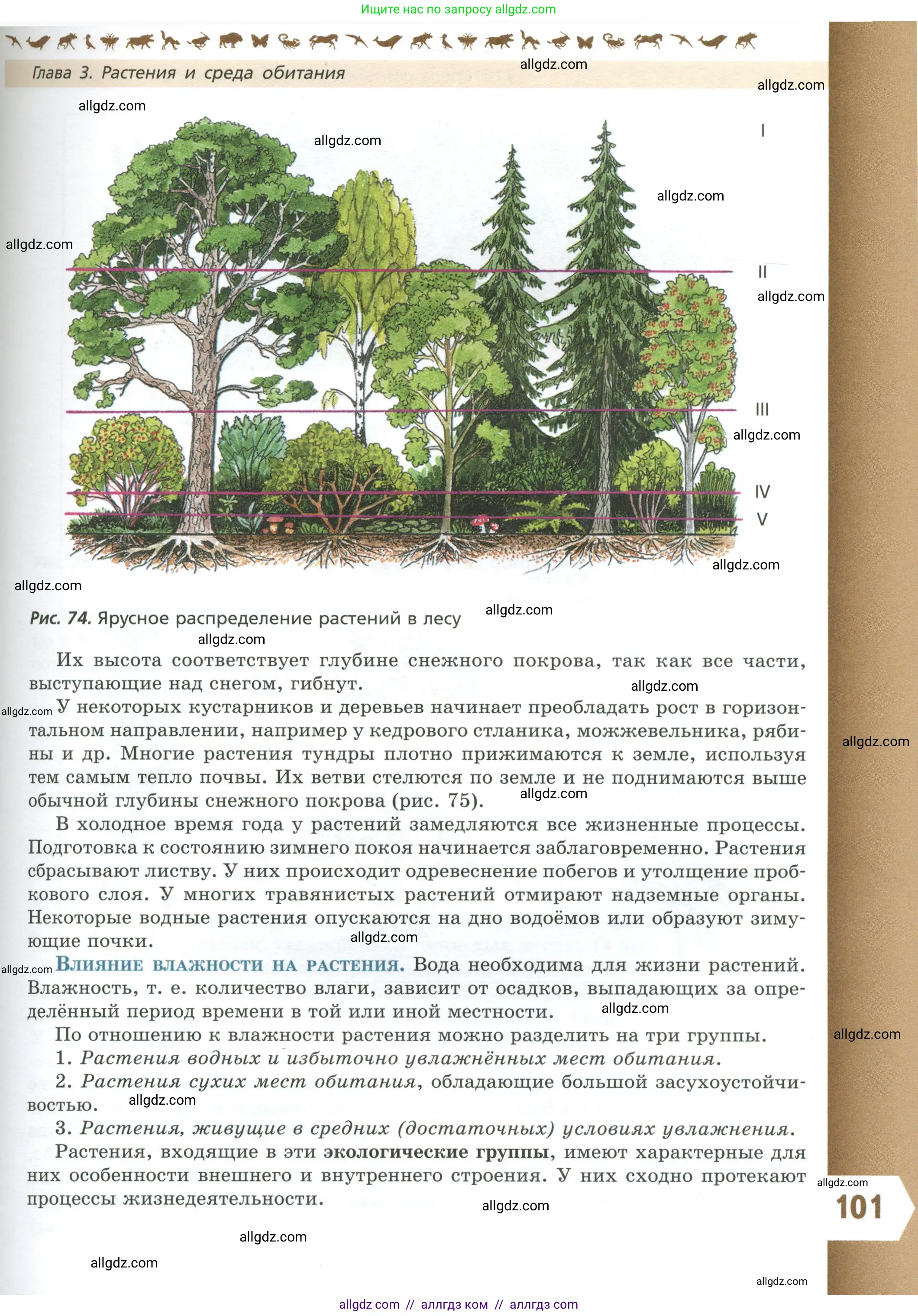 Биология, 7 класс Учебник, авторы: Пасечник Владимир Васильевич, Суматохин Сергей Витальевич, Гапонюк Зоя Георгиевна, Швецов Глеб Геннадьевич, издательство Просвещение, Москва, 2023, бирюзового цвета, страница 101